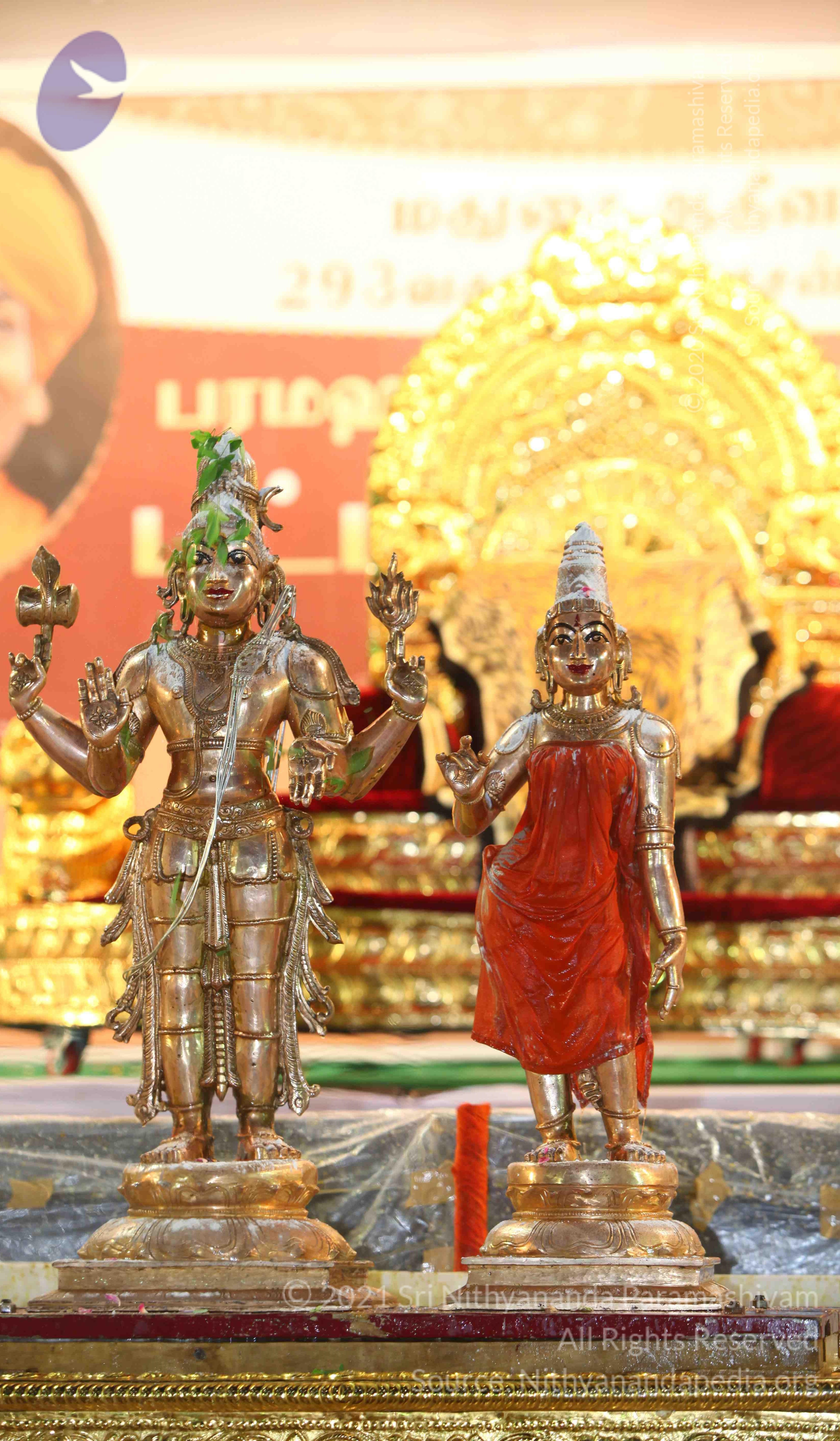 IMG_2505_CMP_WM Done