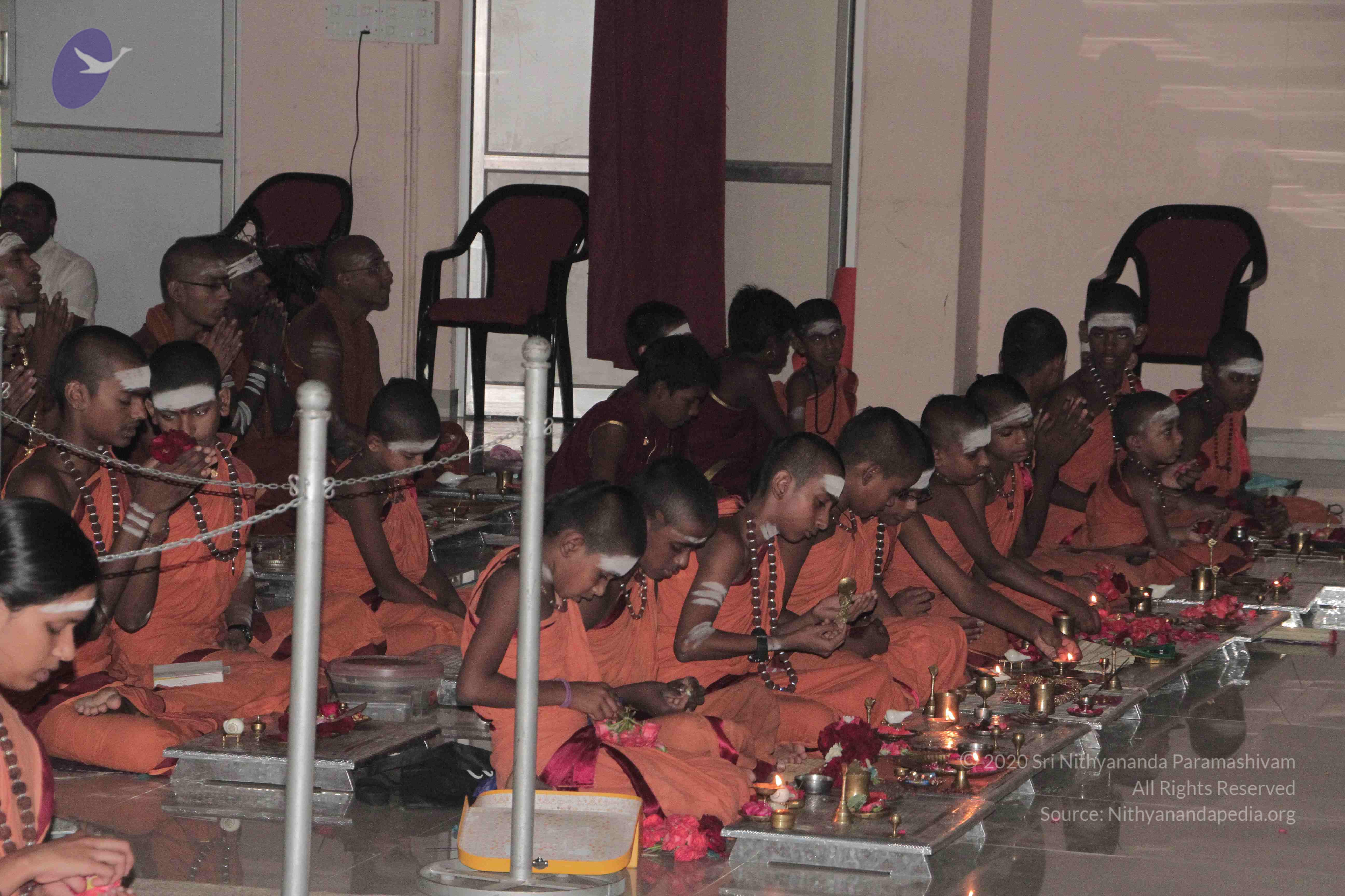 20130423_Photo_1000_IMG_8810_CMP_WM