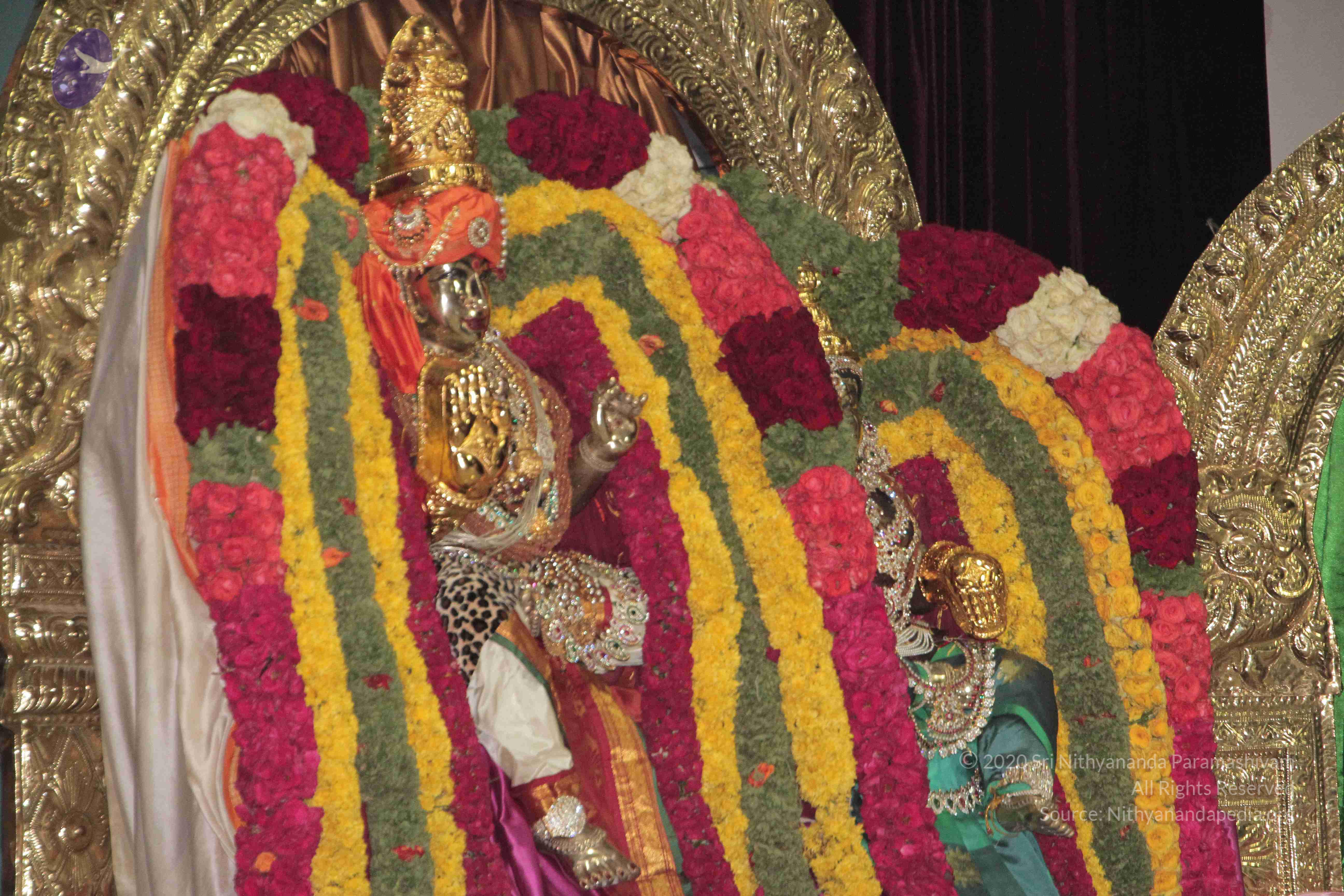 20130423_Photo_1005_IMG_8767_CMP_WM