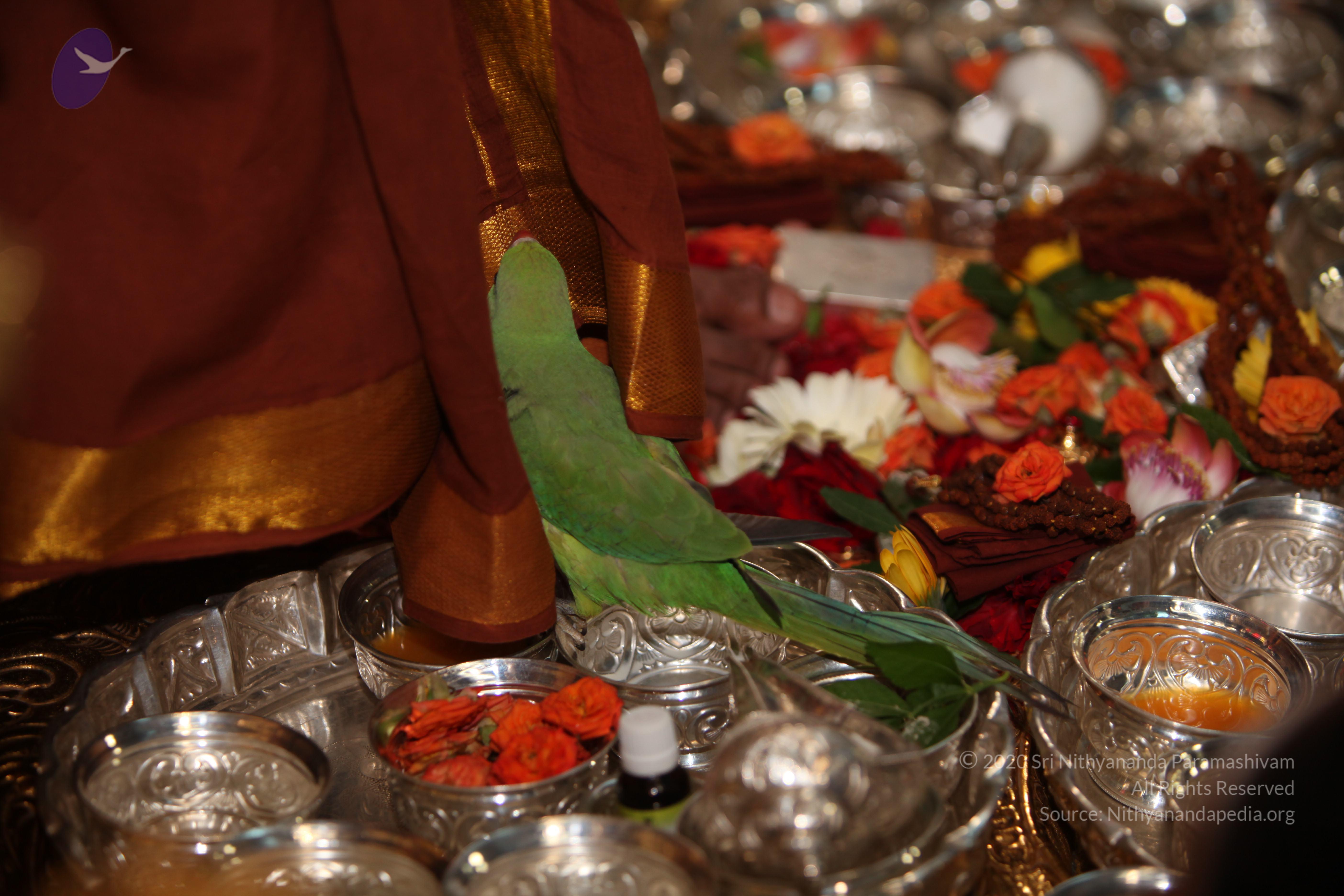 20130423_Photo_1008_IMG_8836_CMP_WM