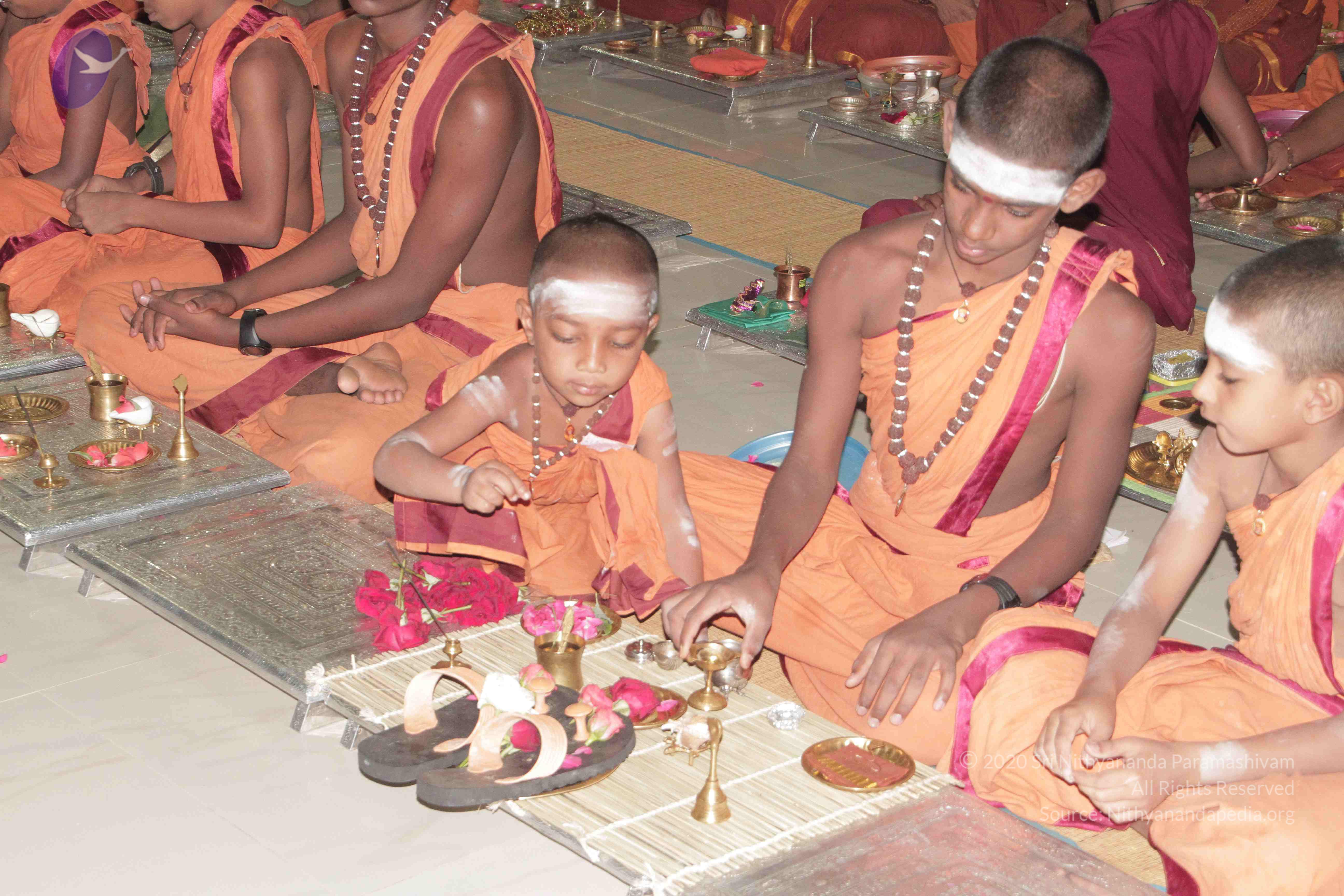 20130423_Photo_1011_IMG_8762_CMP_WM