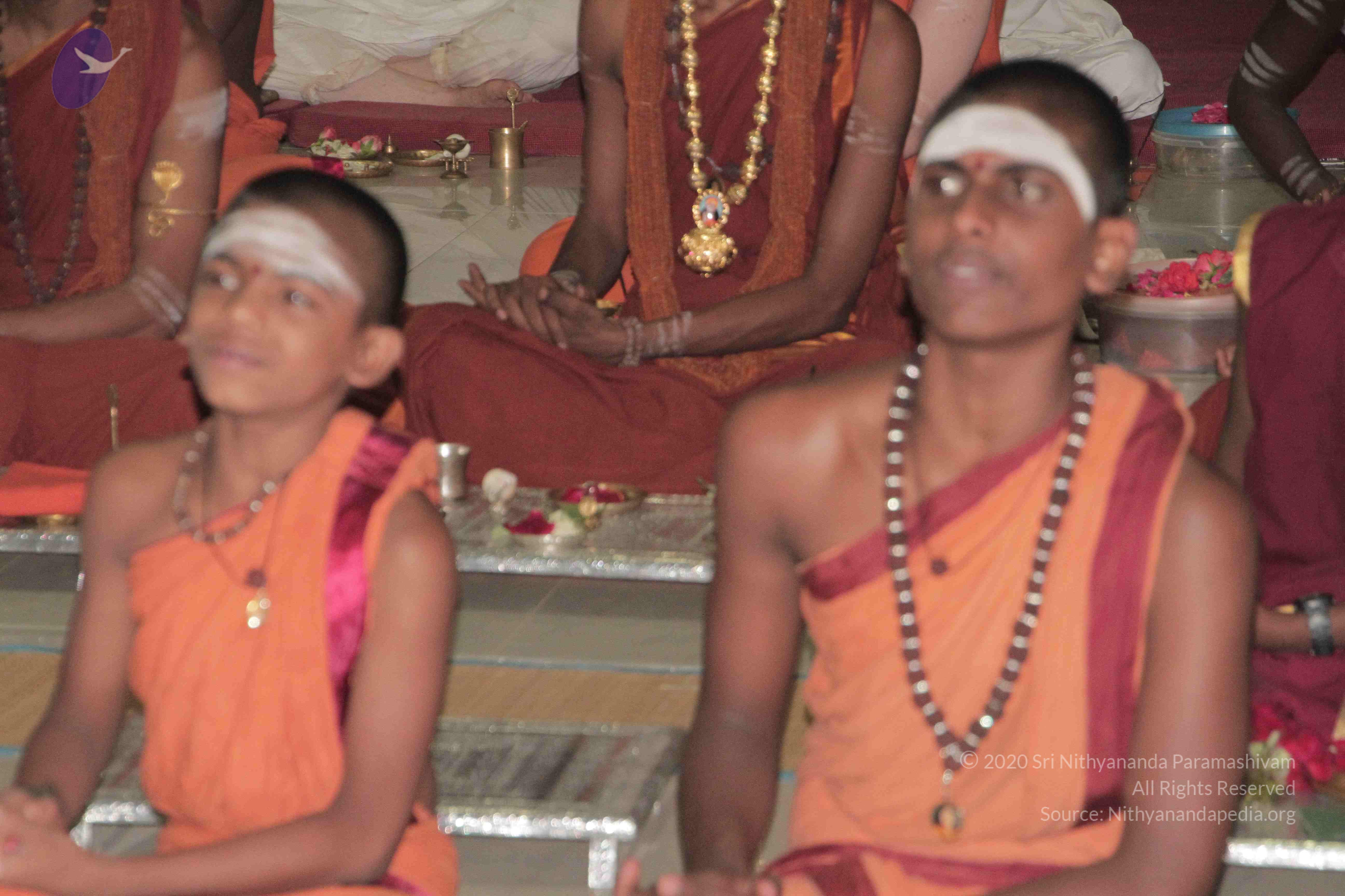 20130423_Photo_1012_IMG_8755_CMP_WM