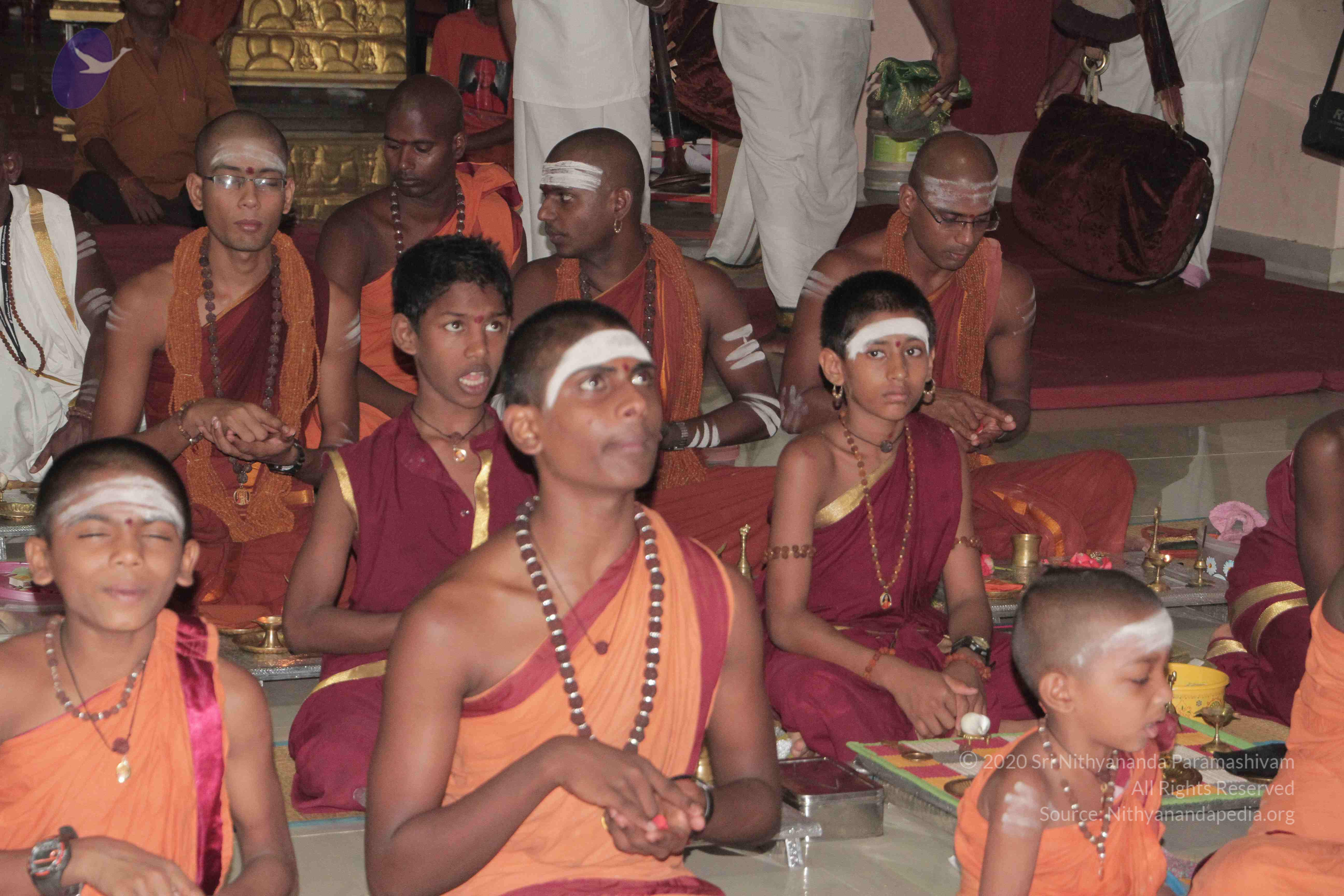 20130423_Photo_1017_IMG_8773_CMP_WM