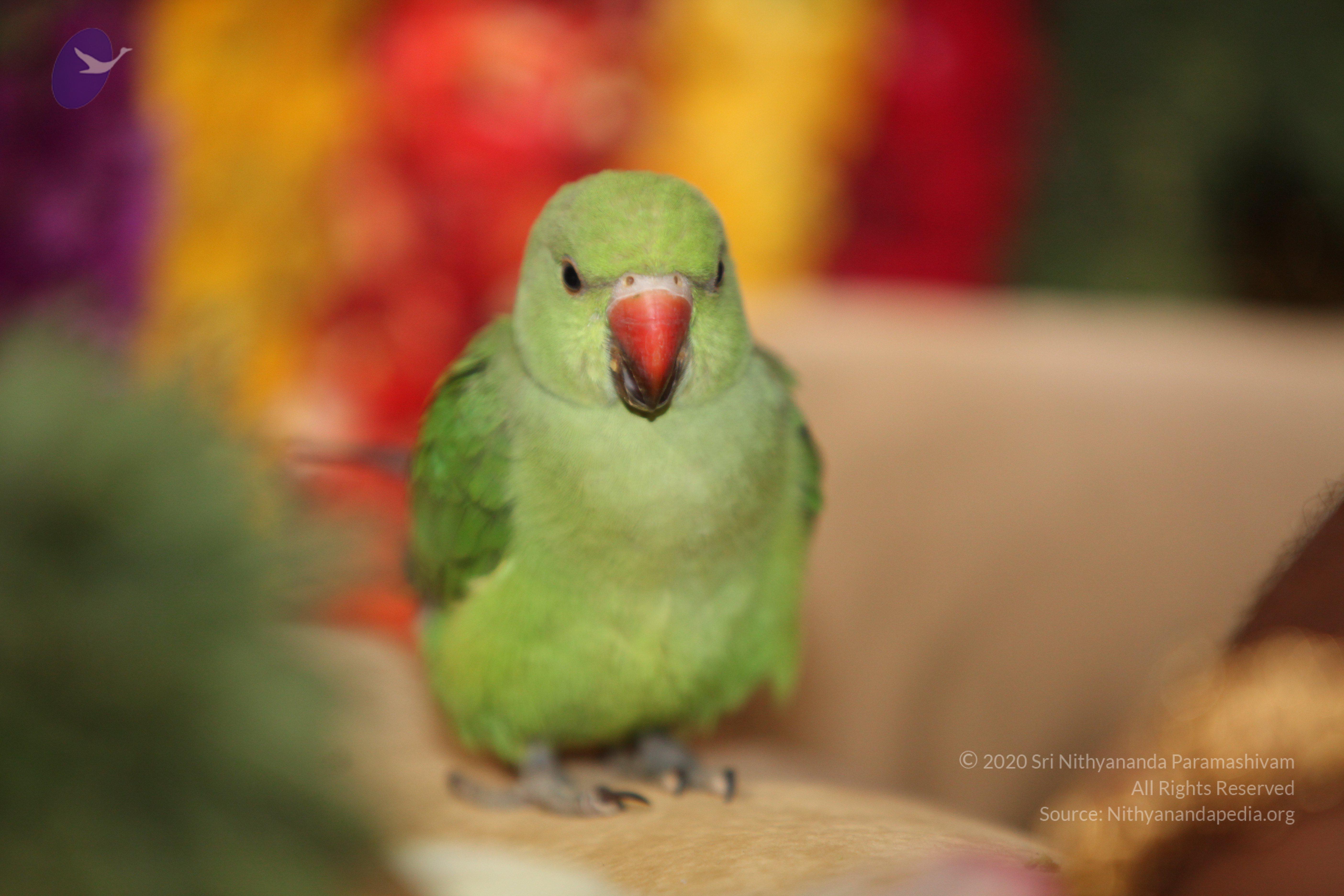 20130423_Photo_1034_IMG_8806_CMP_WM