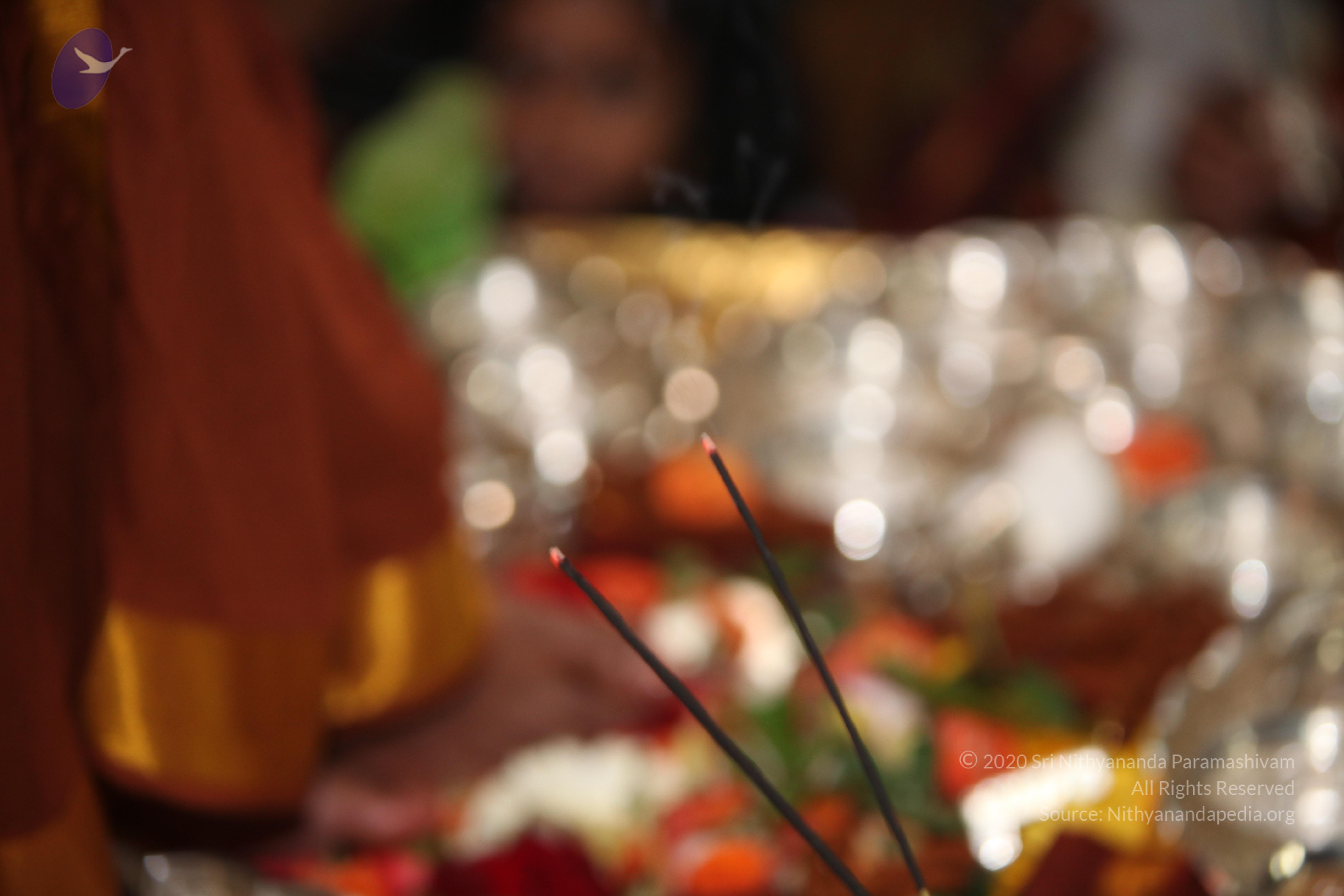 20130423_Photo_1039_IMG_8842_CMP_WM