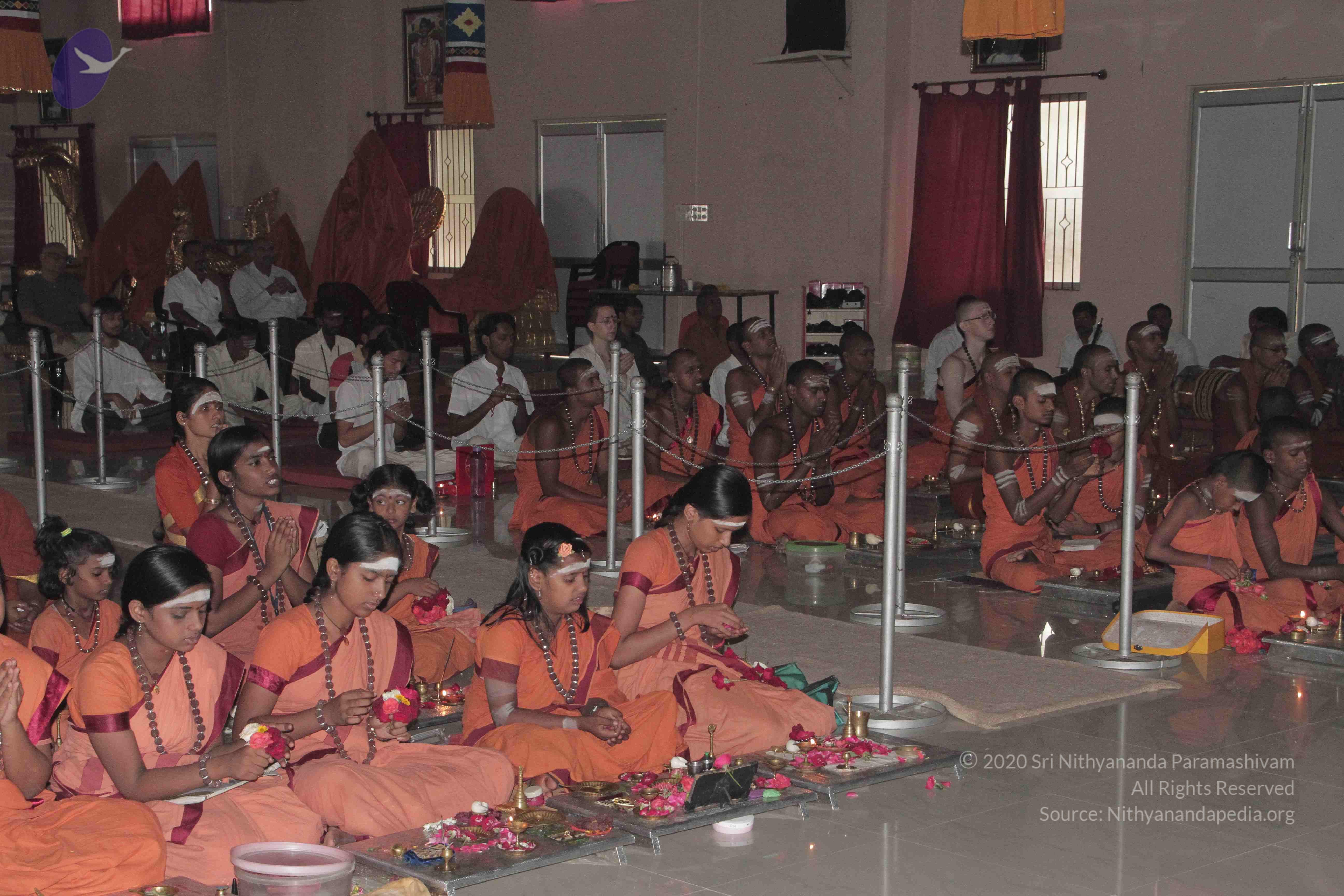 20130423_Photo_1049_IMG_8808_CMP_WM