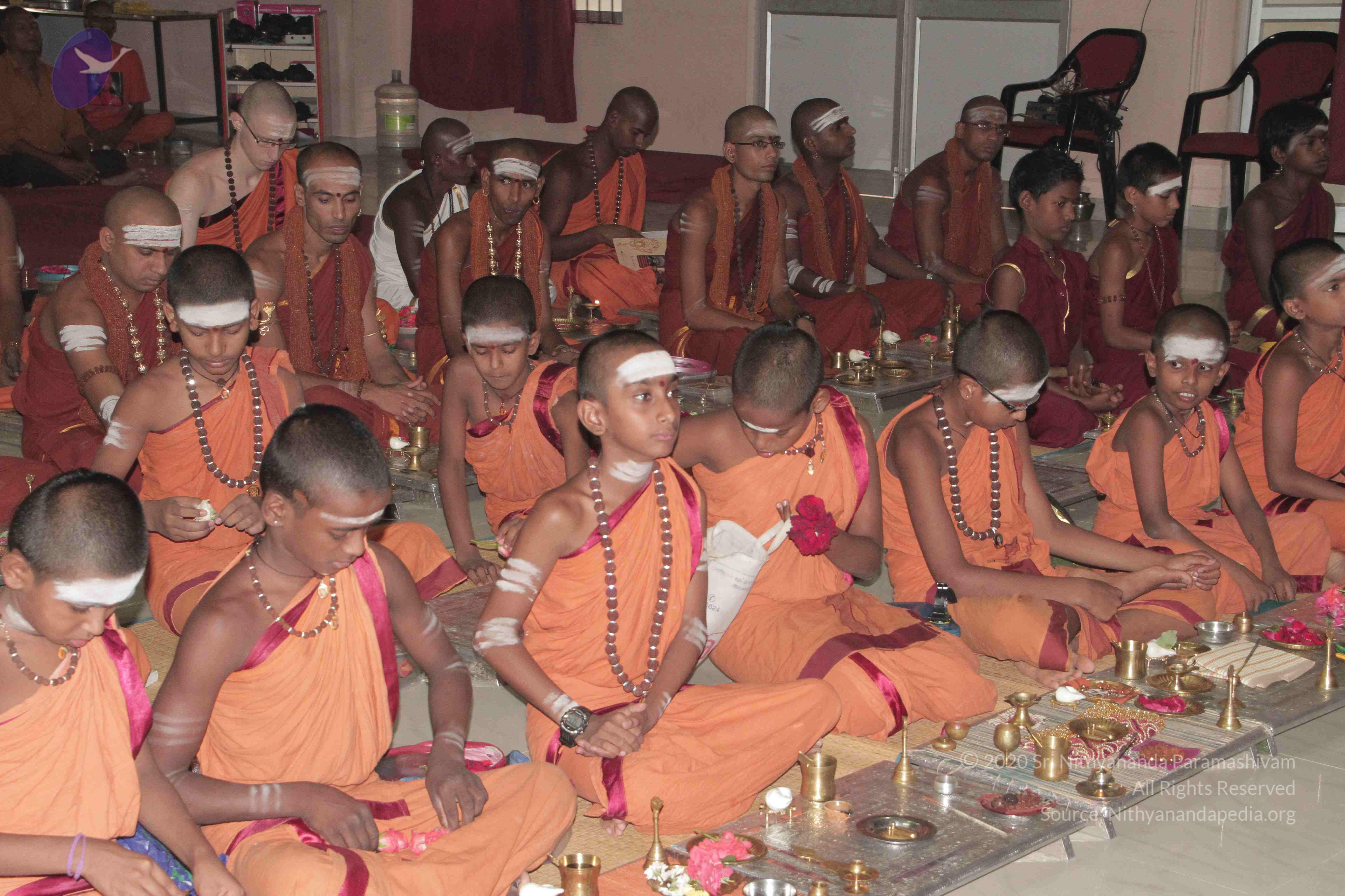 20130423_Photo_1057_IMG_8740_CMP_WM