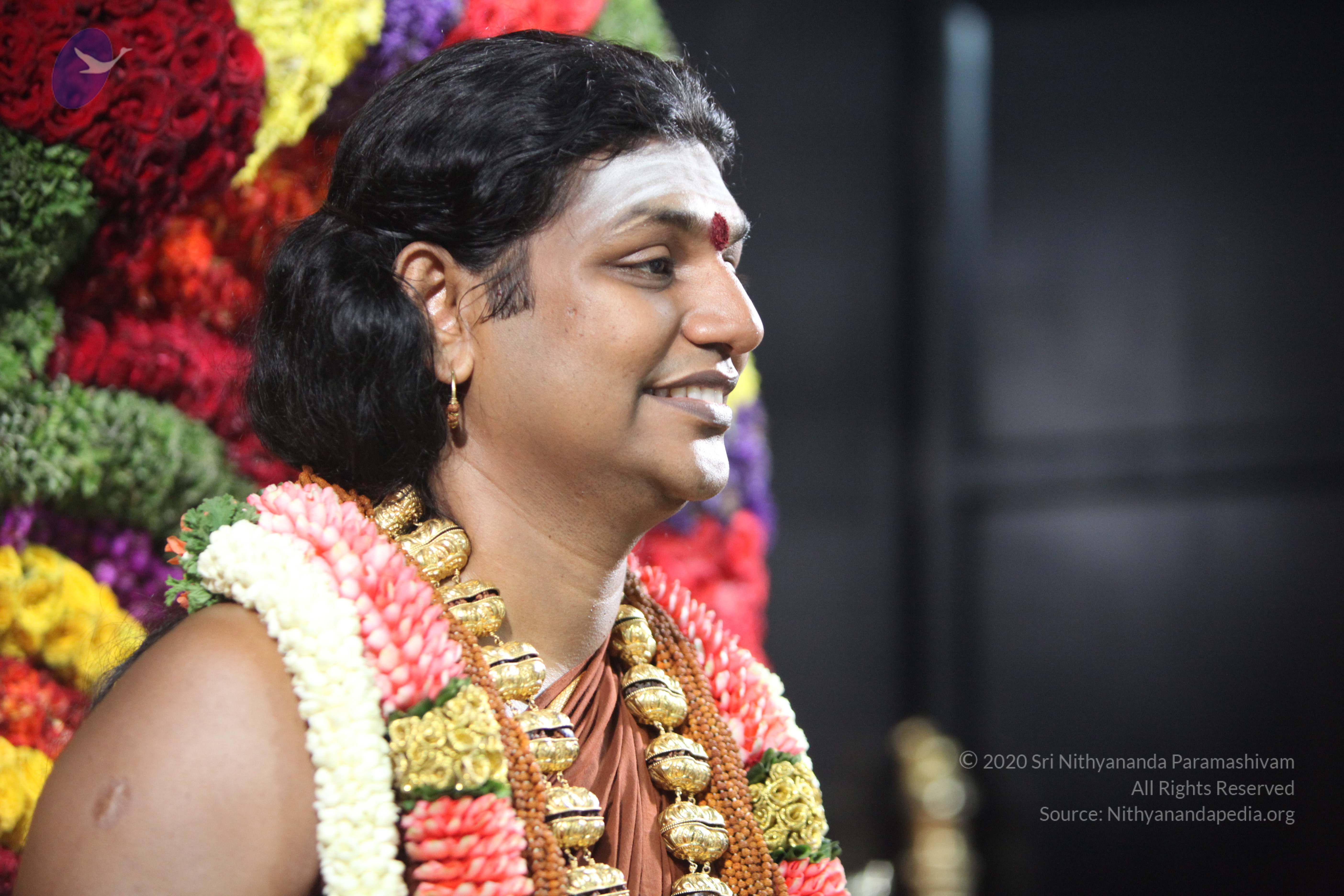 20130423_Photo_1064_IMG_8800_CMP_WM