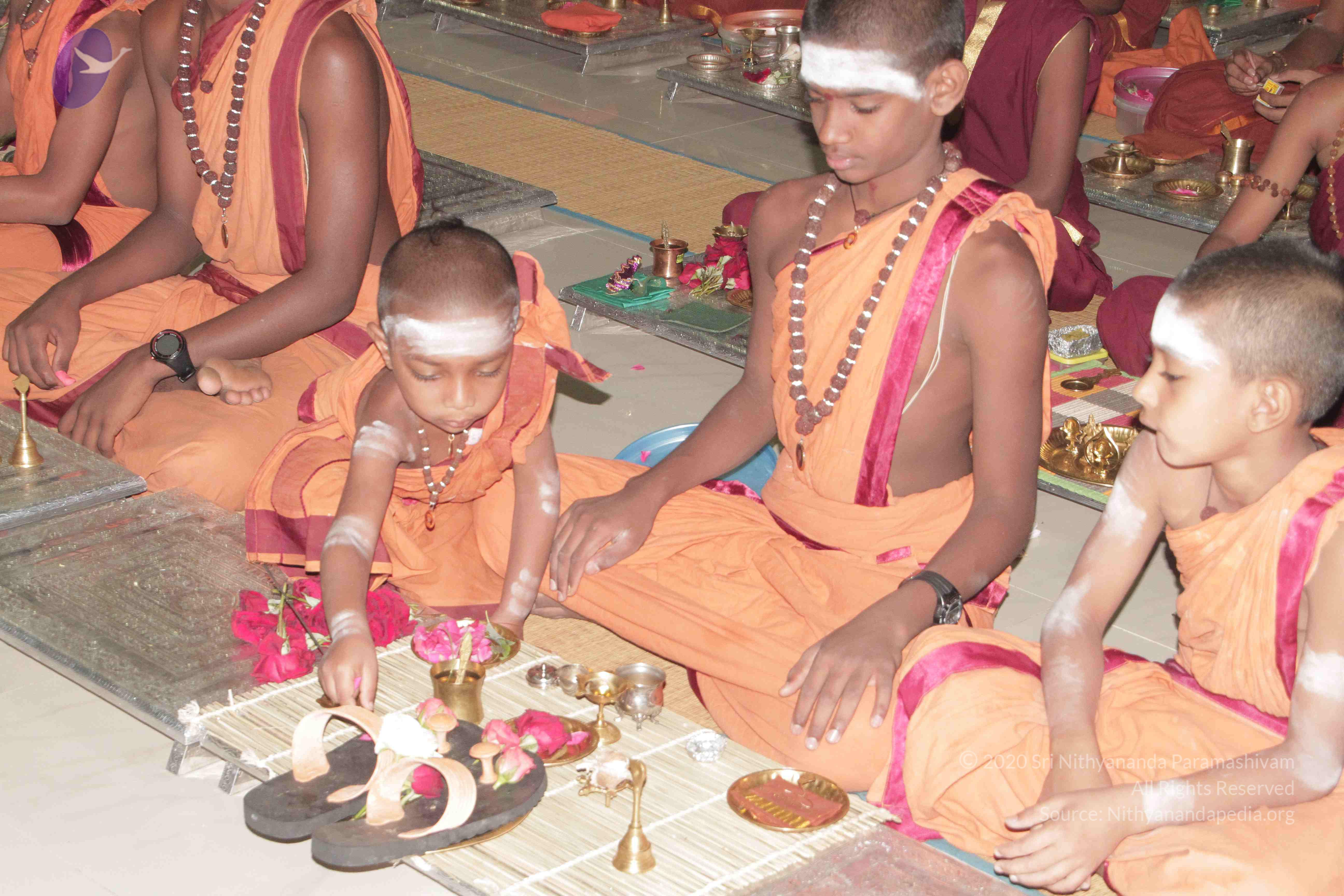 20130423_Photo_1068_IMG_8761_CMP_WM