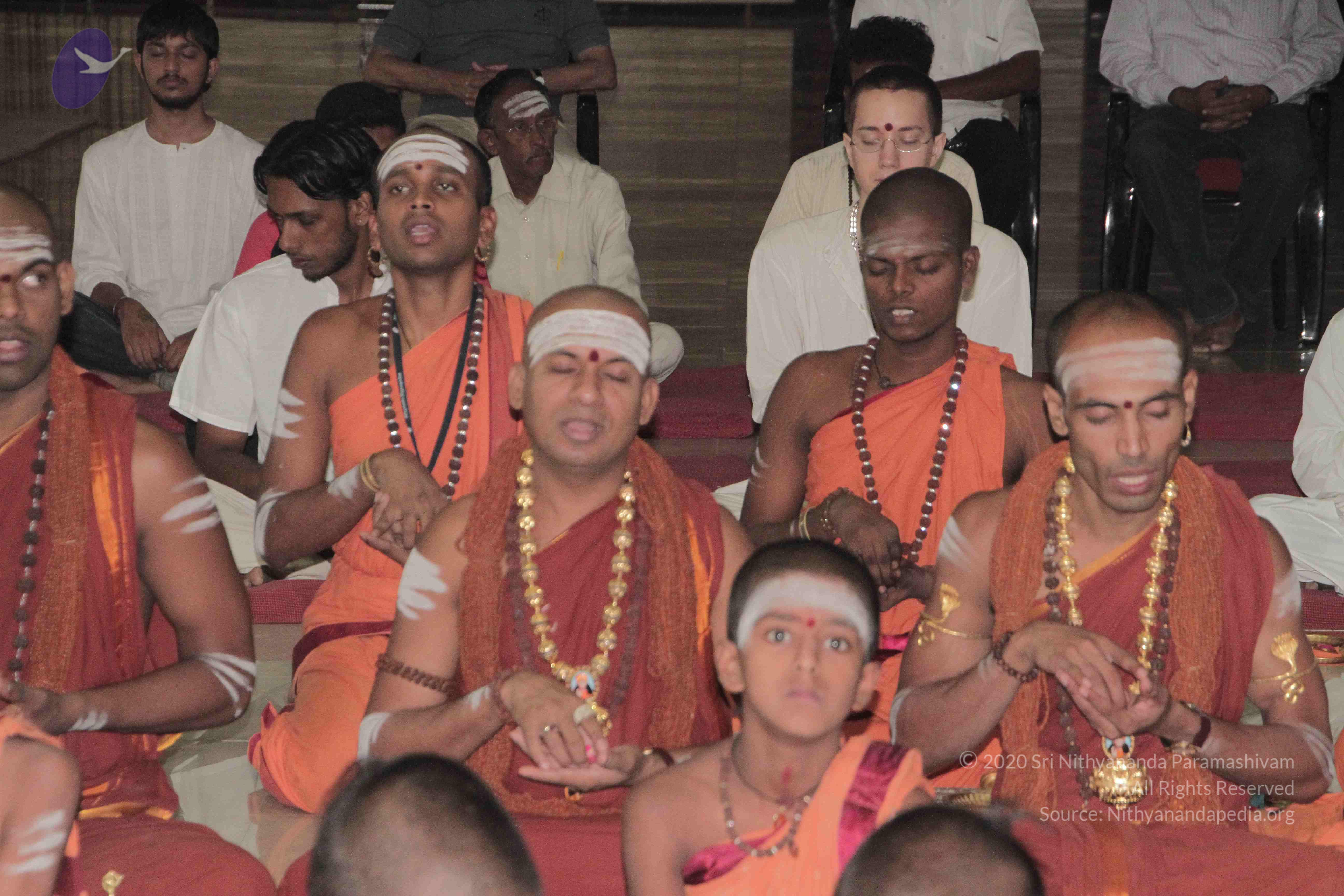 20130423_Photo_1076_IMG_8769_CMP_WM