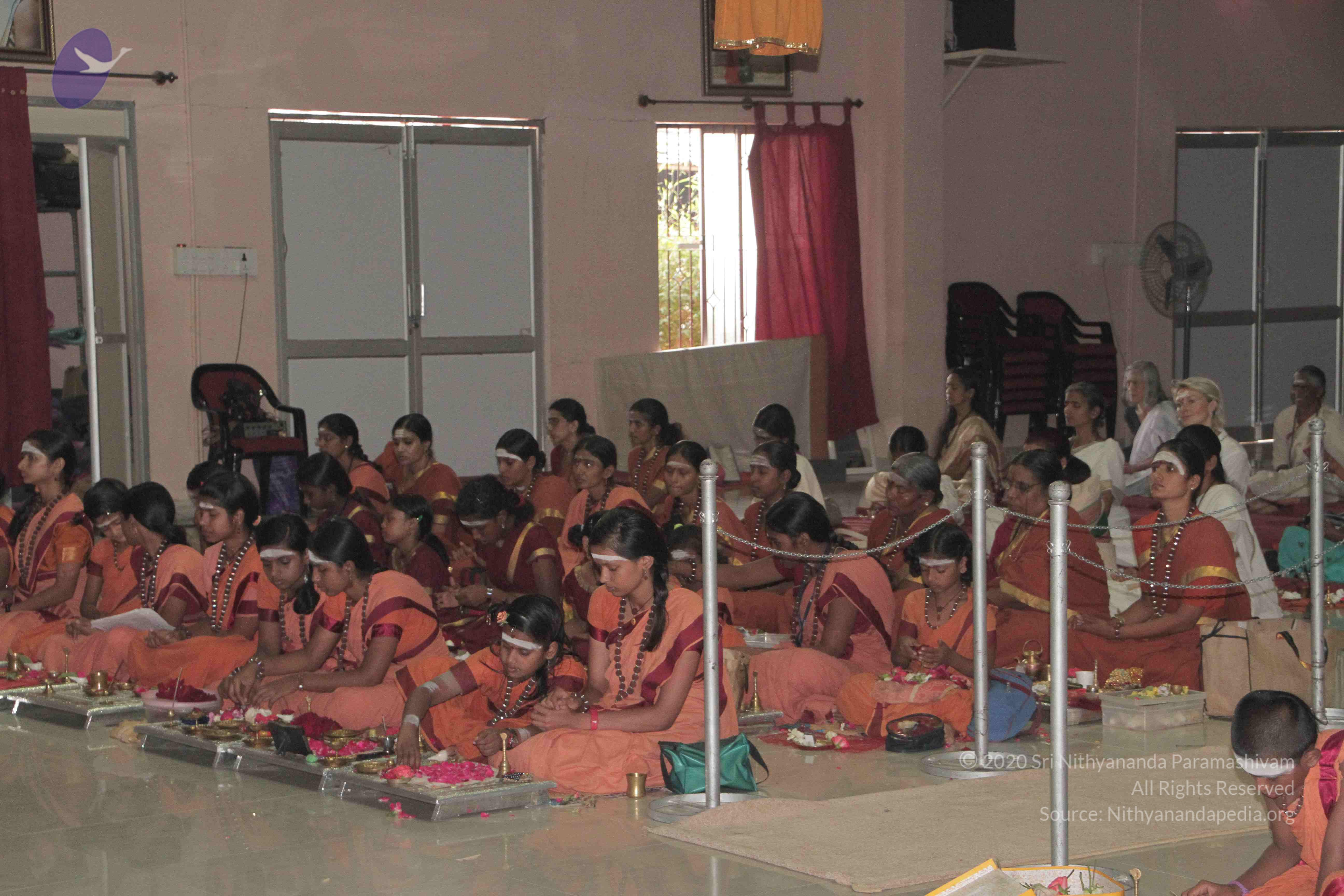 20130423_Photo_1084_IMG_8753_CMP_WM