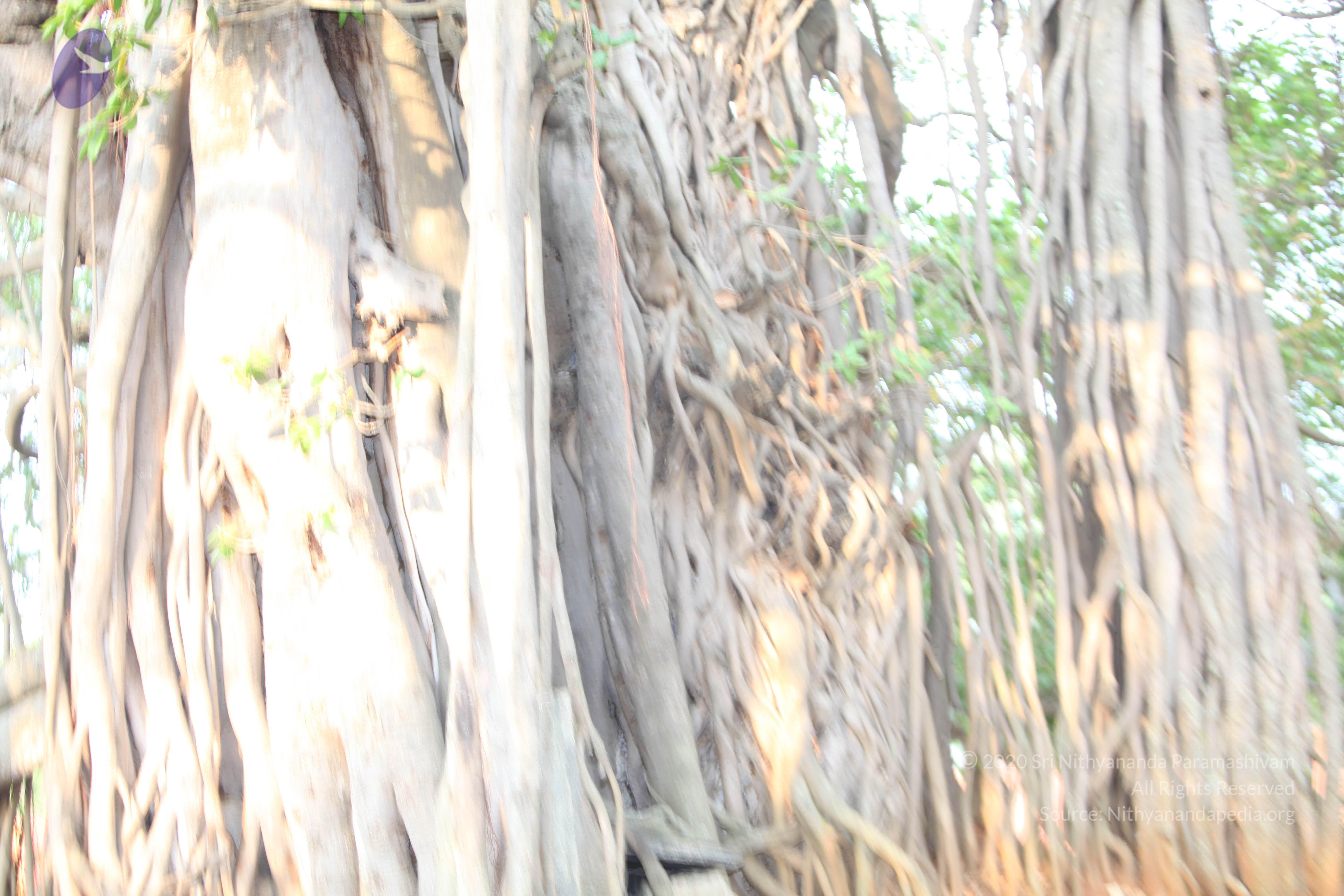 20130423_Photo_1001_IMG_8767_CMP_WM