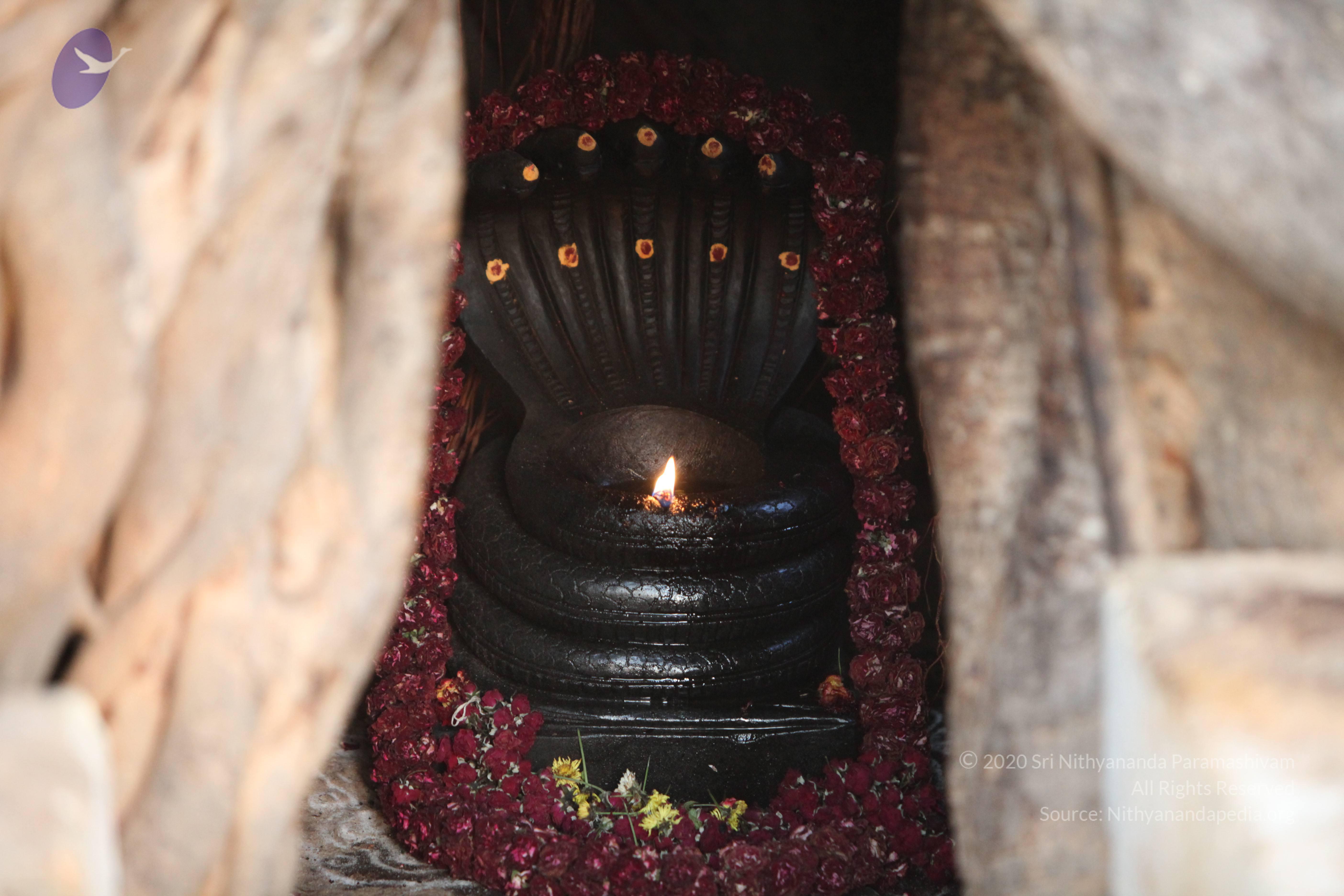 20130423_Photo_1010_IMG_8730_CMP_WM