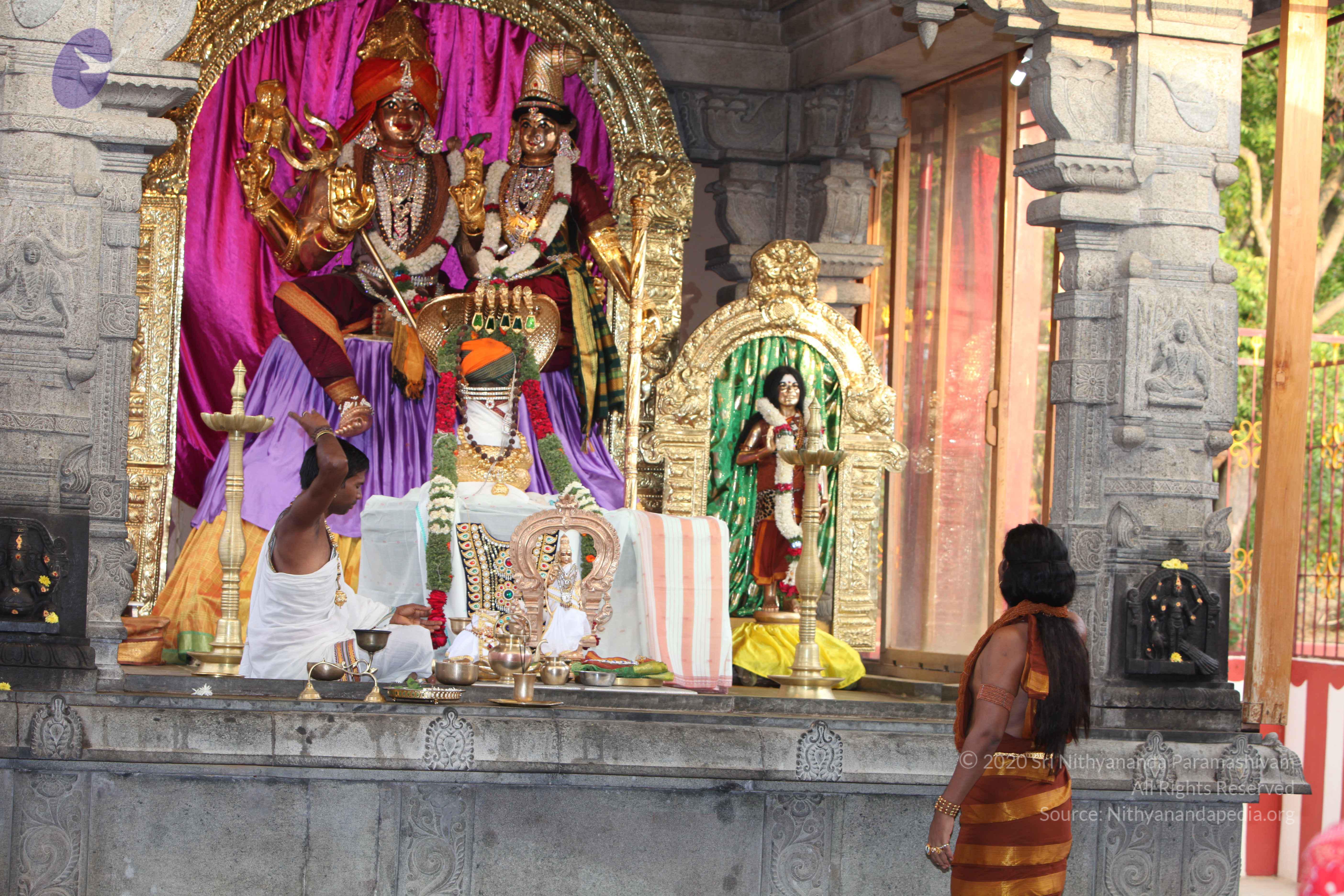 20130423_Photo_1012_IMG_8783_CMP_WM