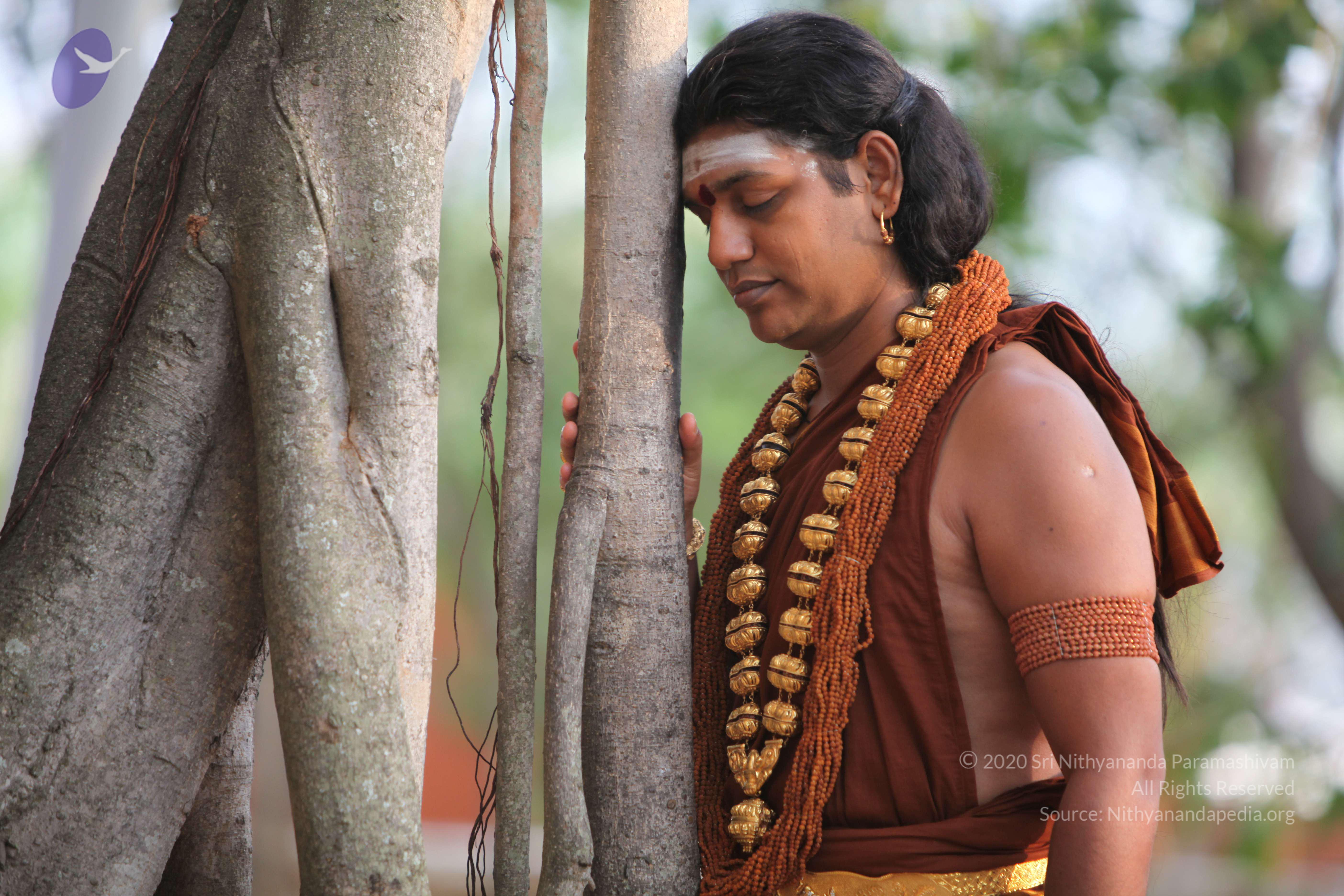 20130423_Photo_1023_IMG_8772_CMP_WM