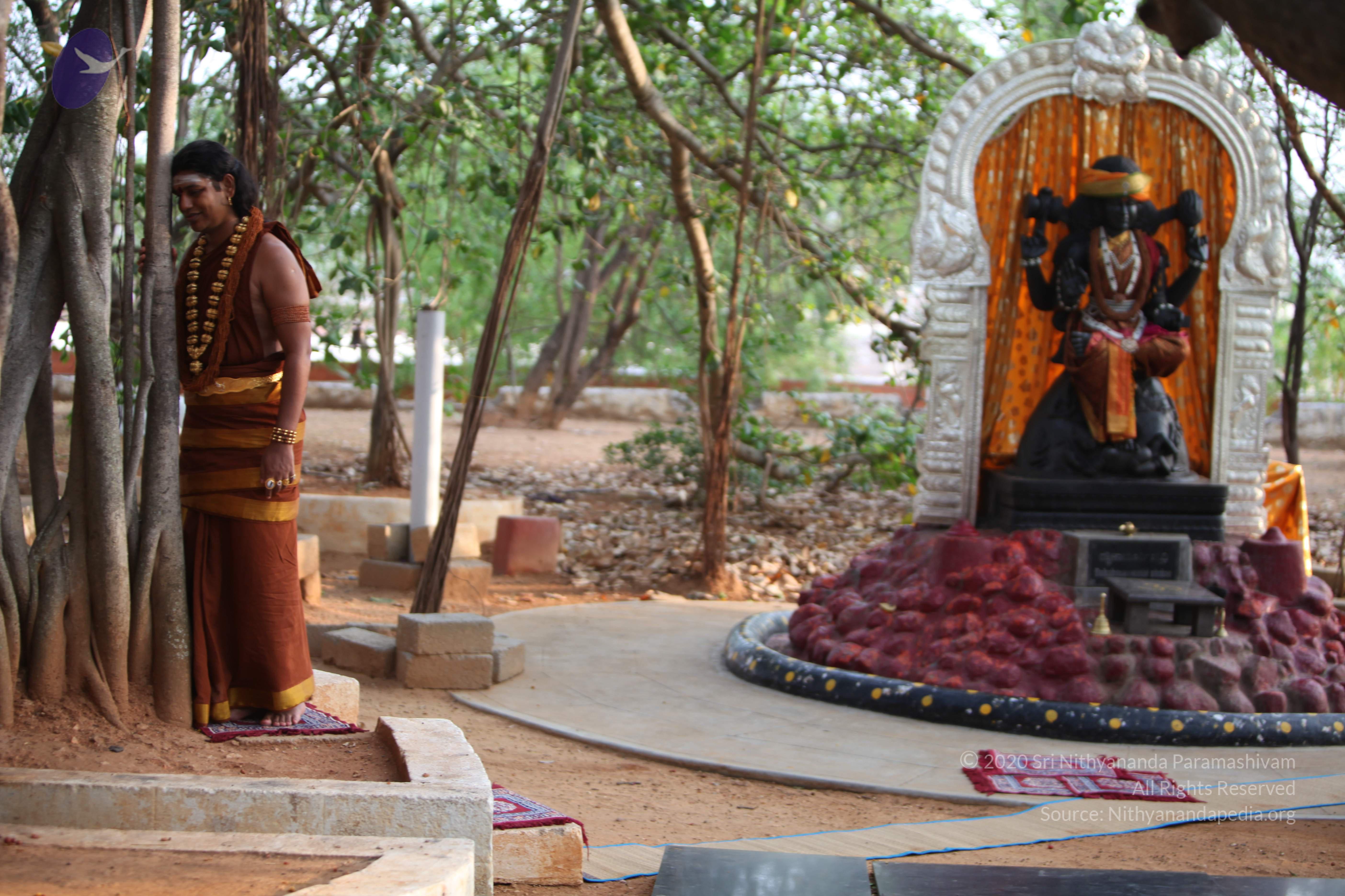 20130423_Photo_1035_IMG_8775_CMP_WM