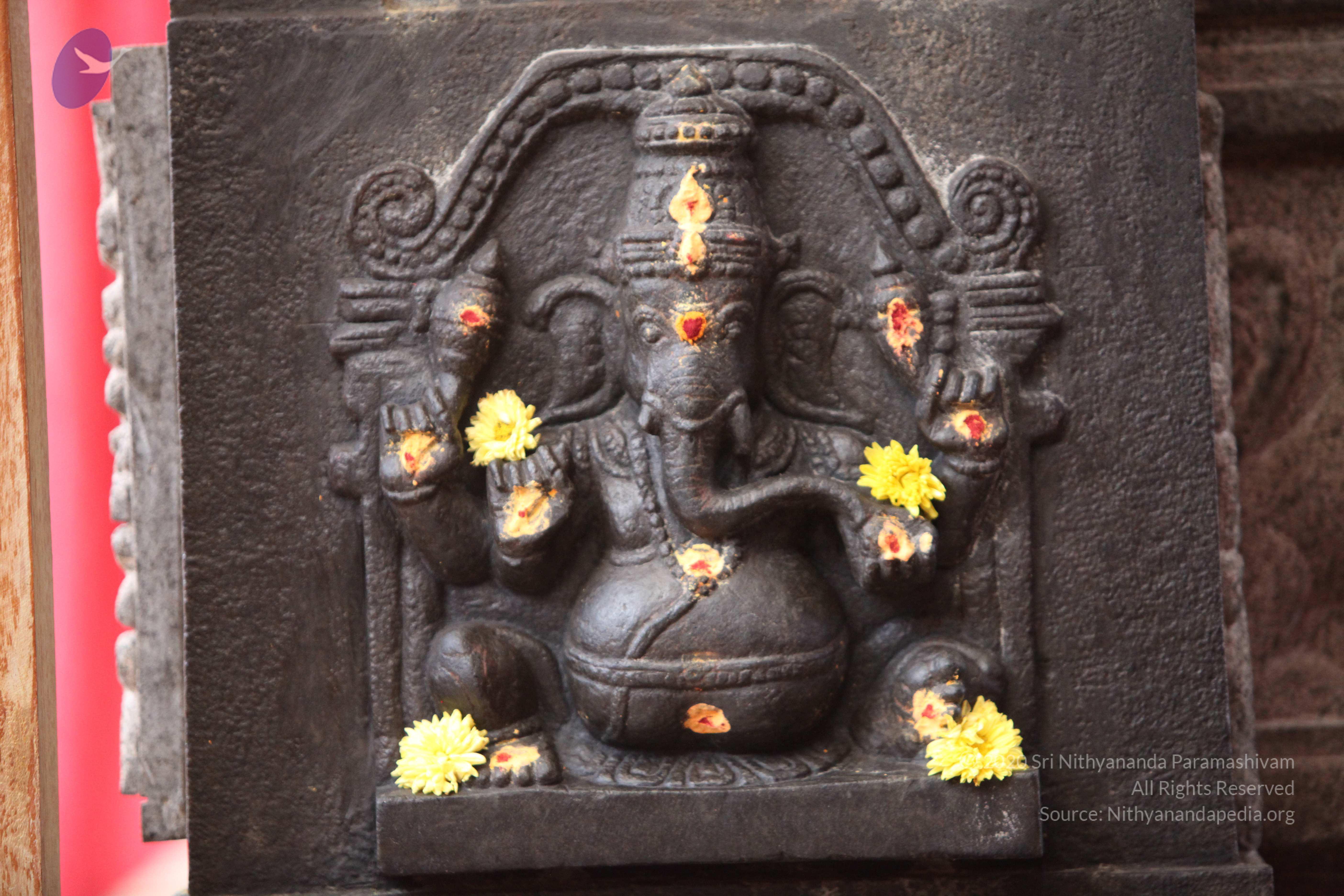 20130423_Photo_1036_IMG_8720_CMP_WM