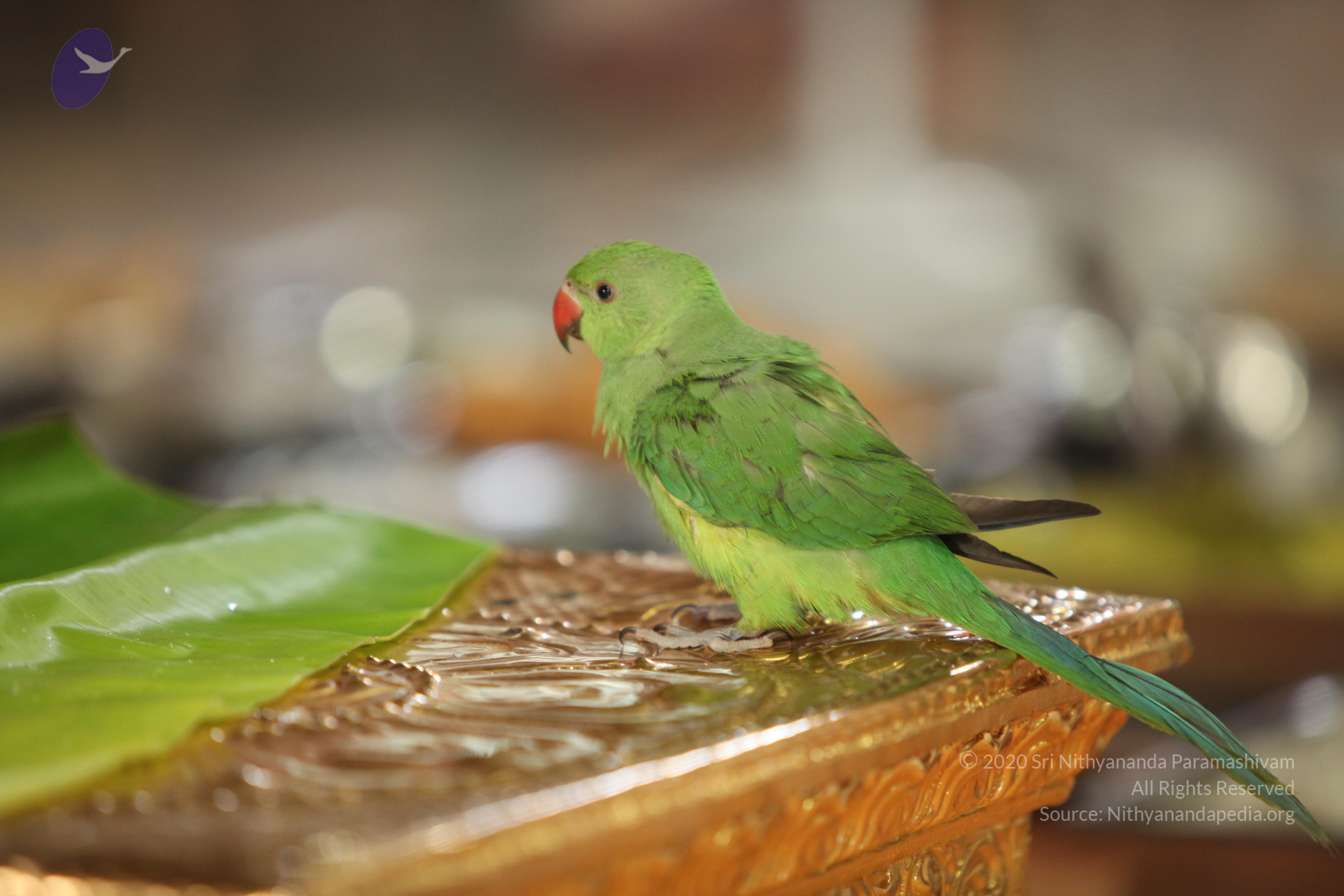 20130423_Photo_1000_IMG_9300_CMP_WM