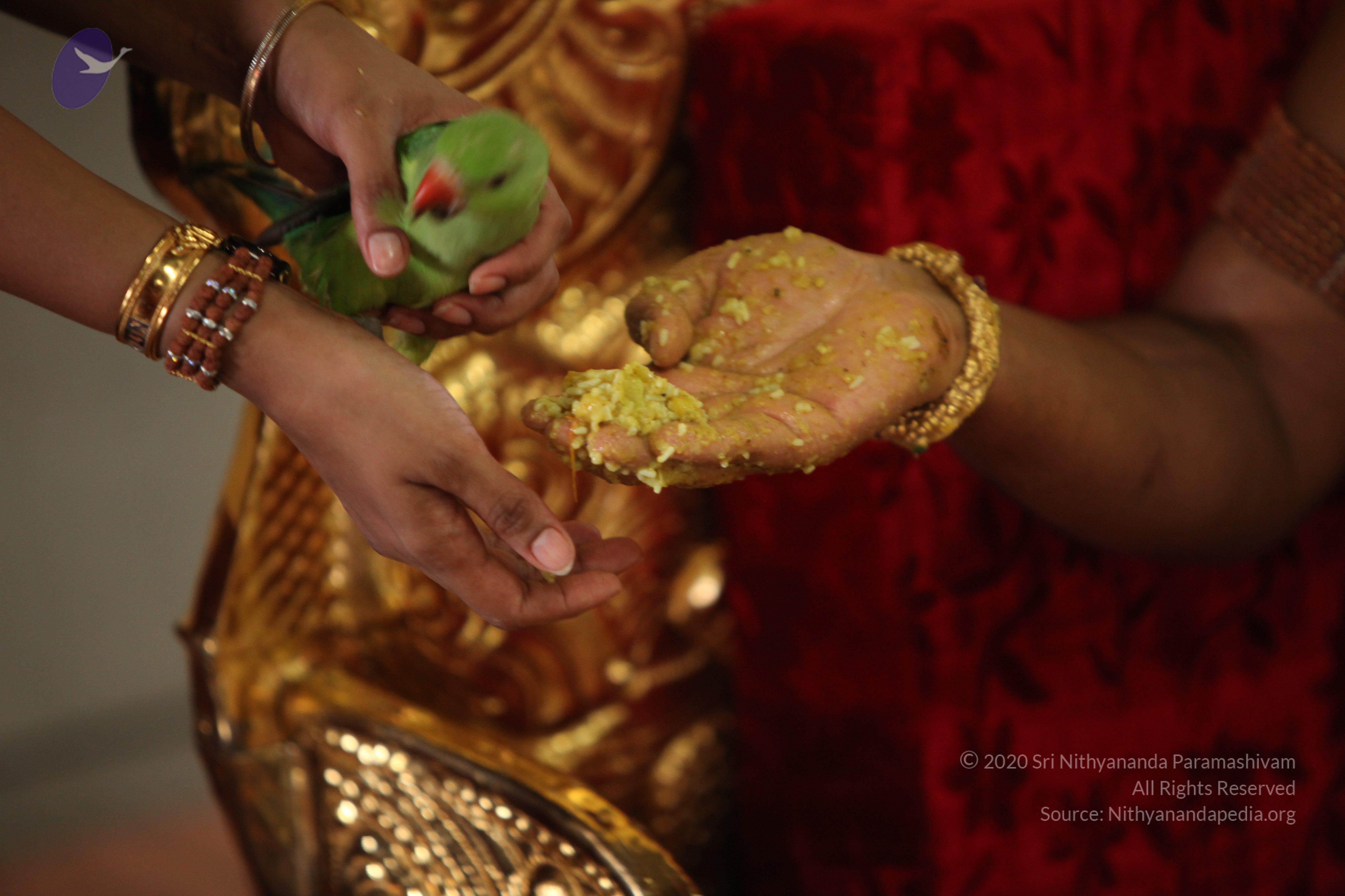 20130423_Photo_1002_IMG_9355_CMP_WM