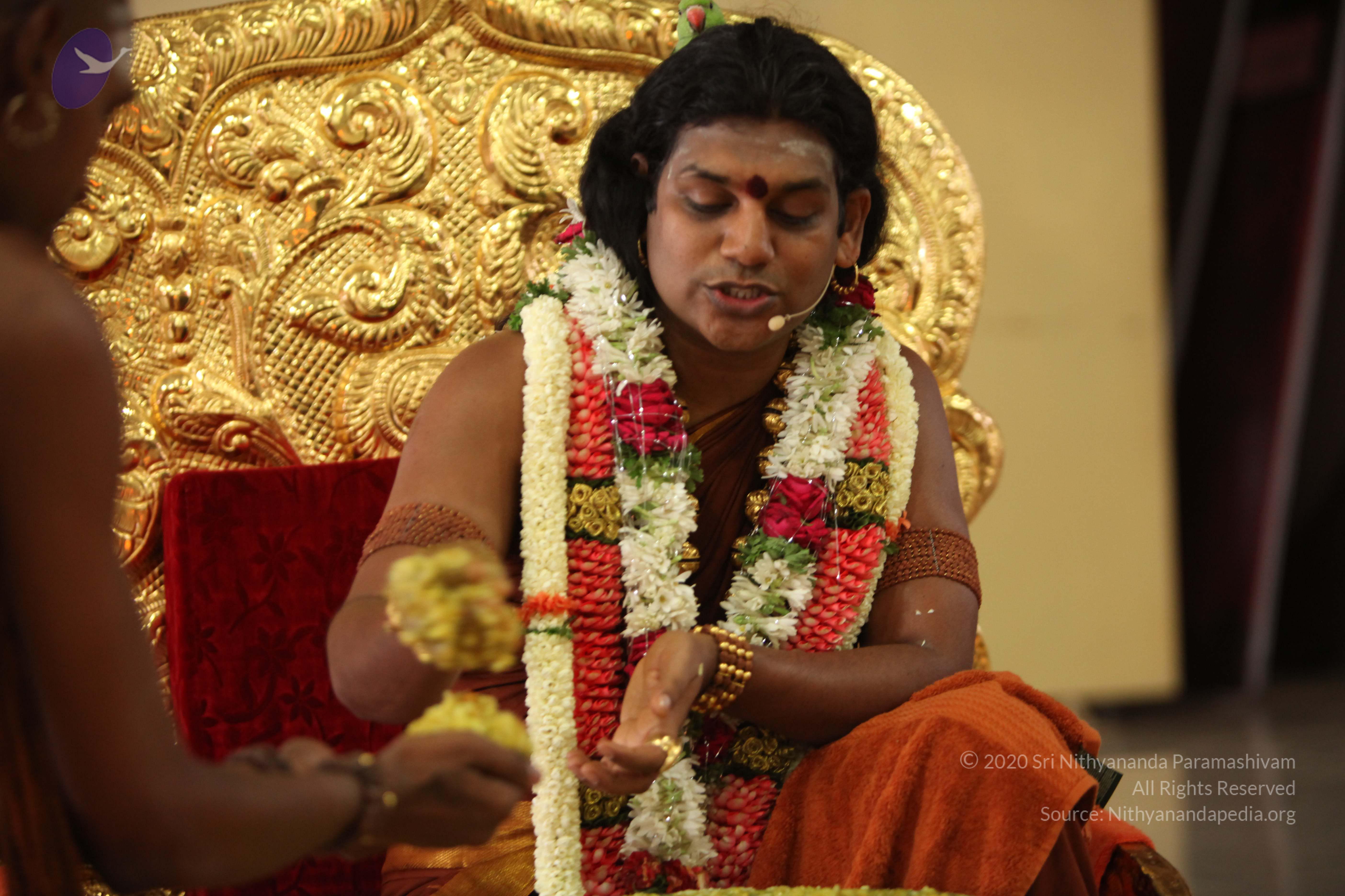 20130423_Photo_1015_IMG_9341_CMP_WM