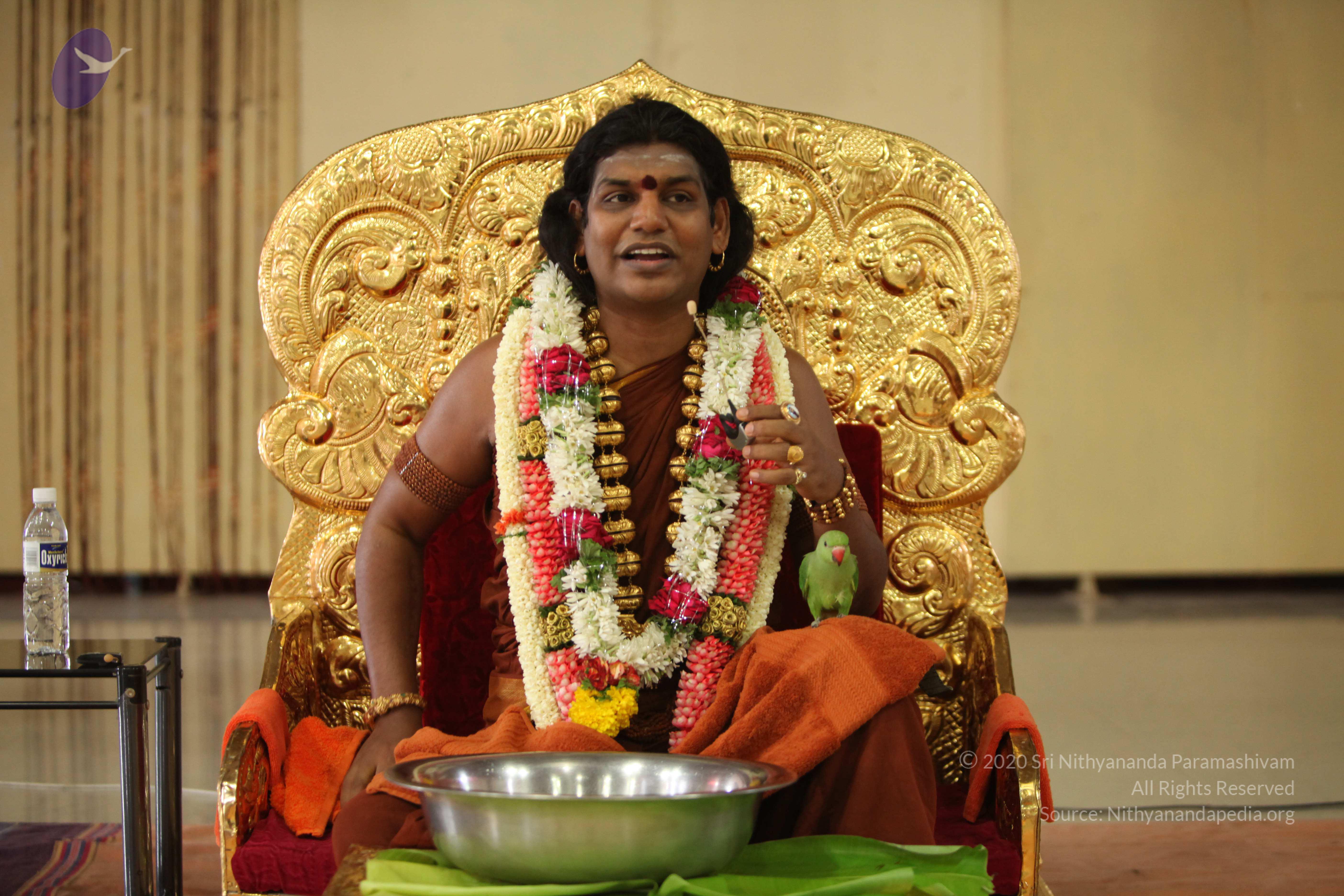 20130423_Photo_1018_IMG_9305_CMP_WM