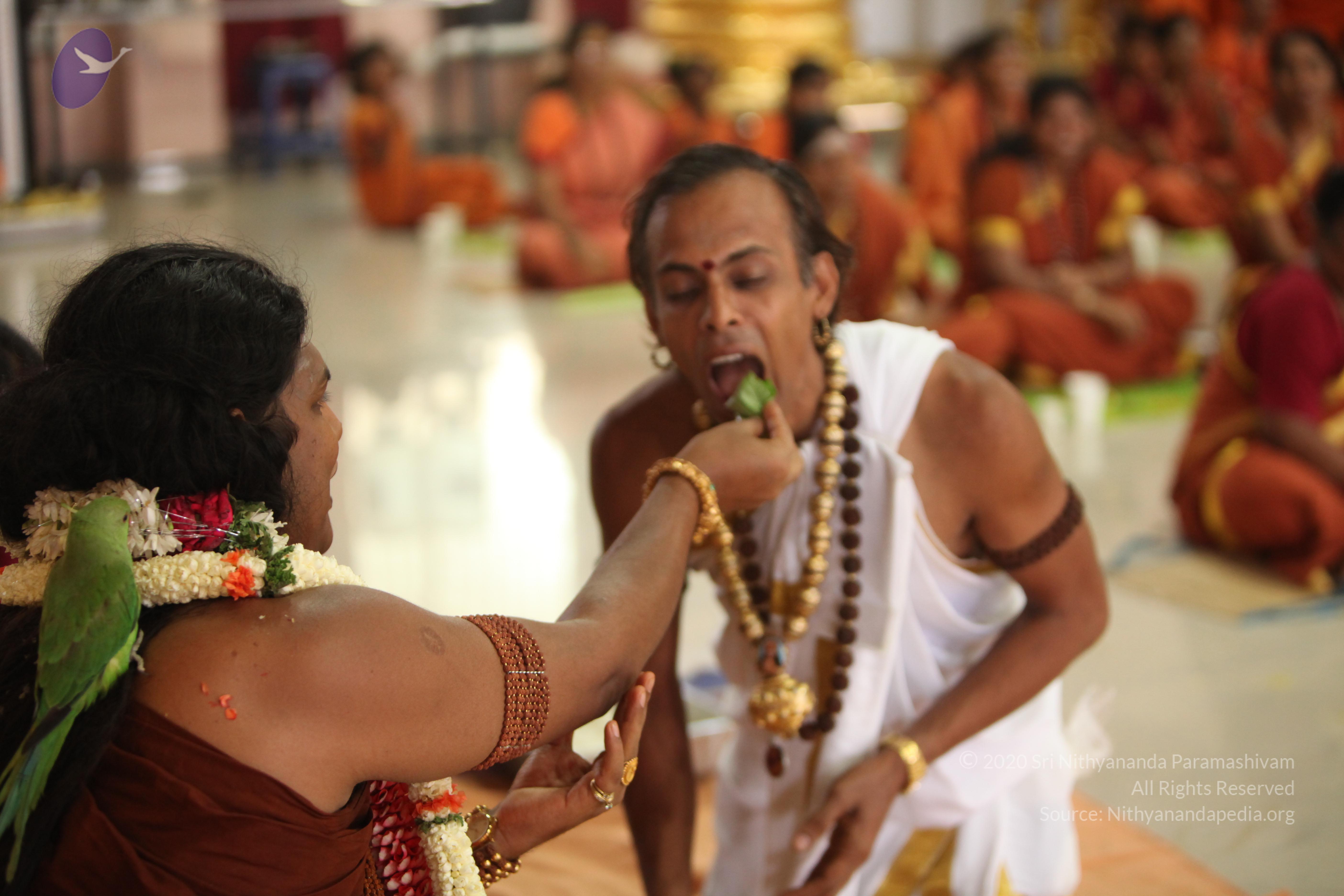 20130423_Photo_1019_IMG_9367_CMP_WM