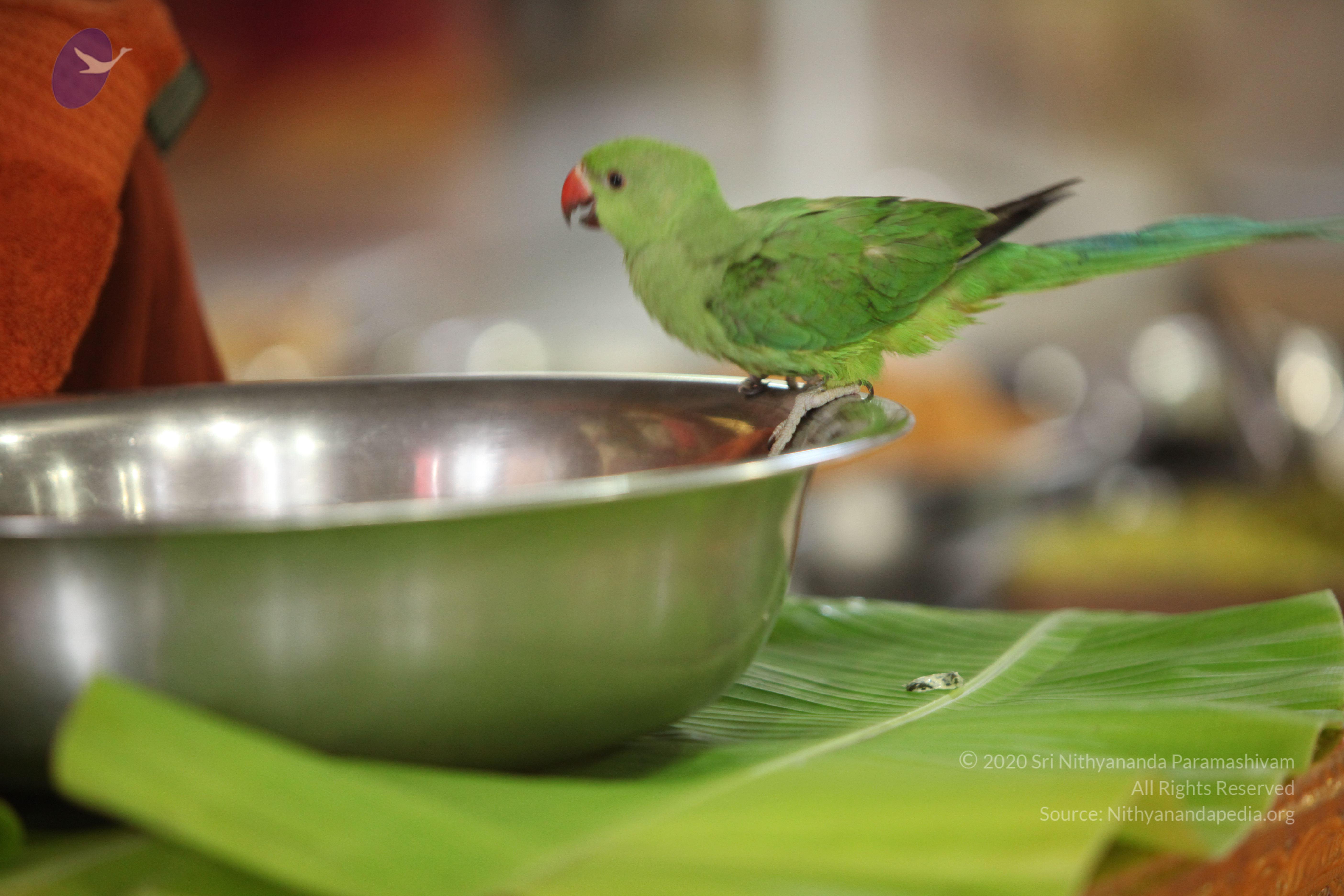 20130423_Photo_1024_IMG_9297_CMP_WM