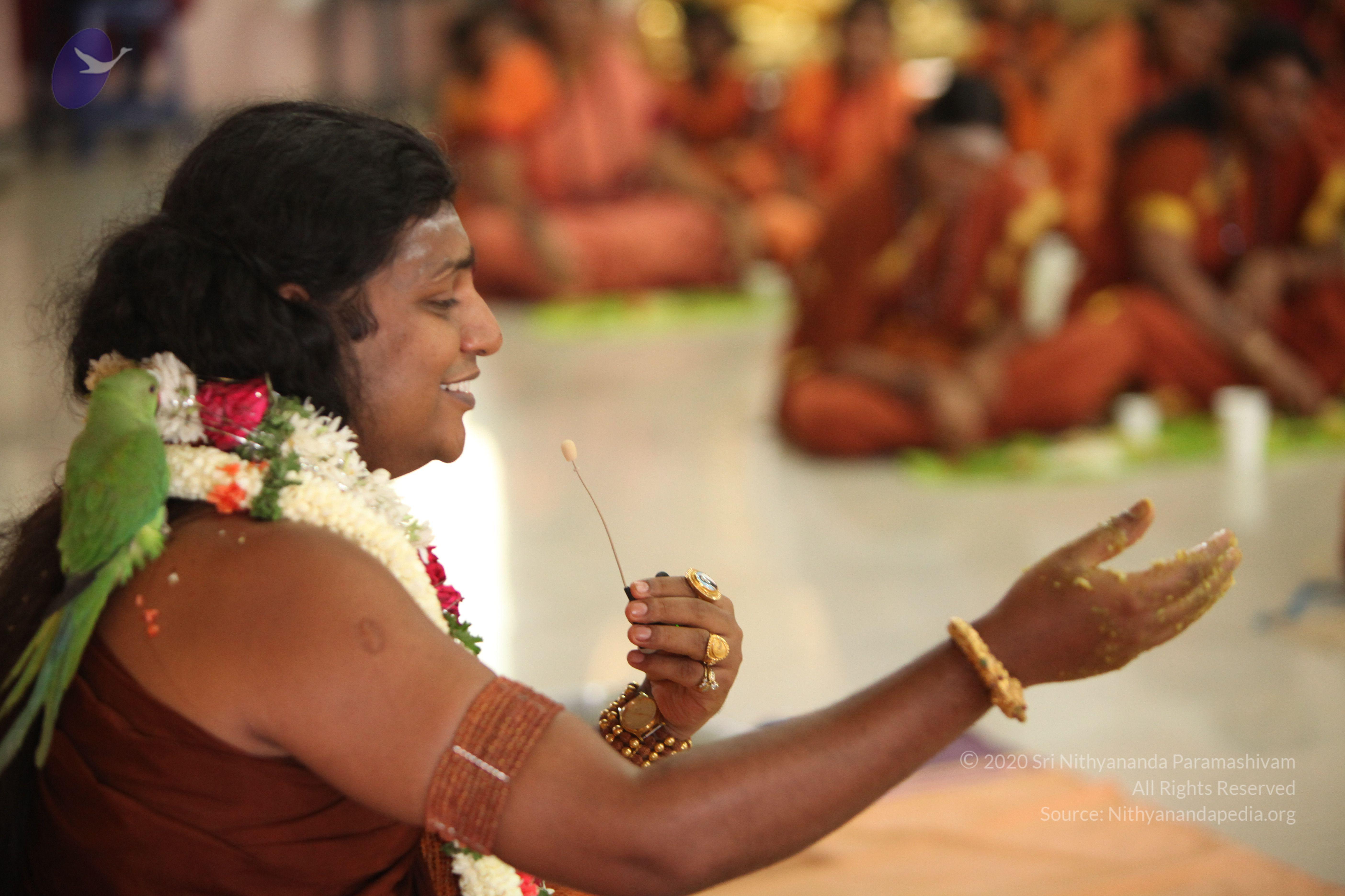 20130423_Photo_1029_IMG_9360_CMP_WM