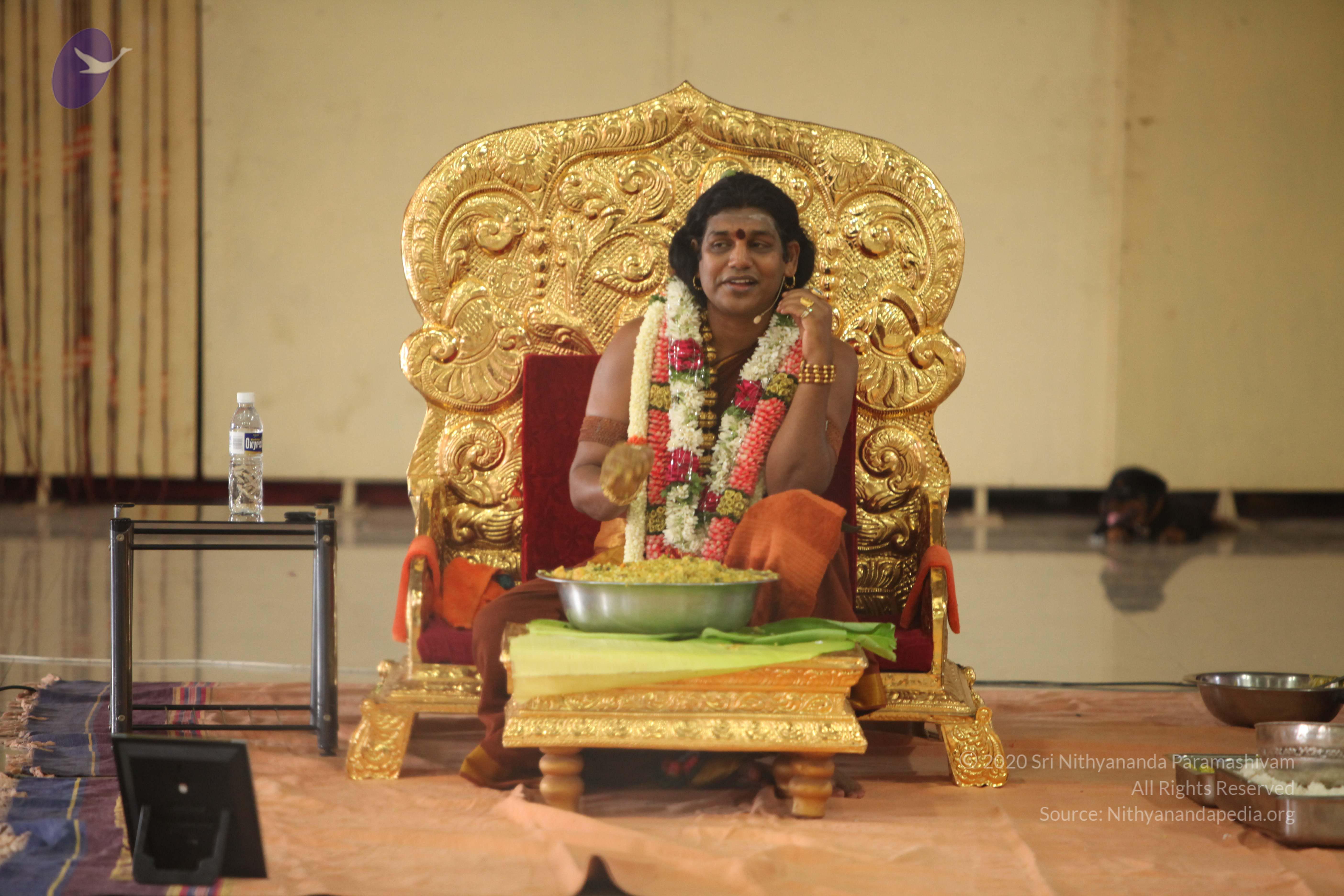 20130423_Photo_1053_IMG_9333_CMP_WM