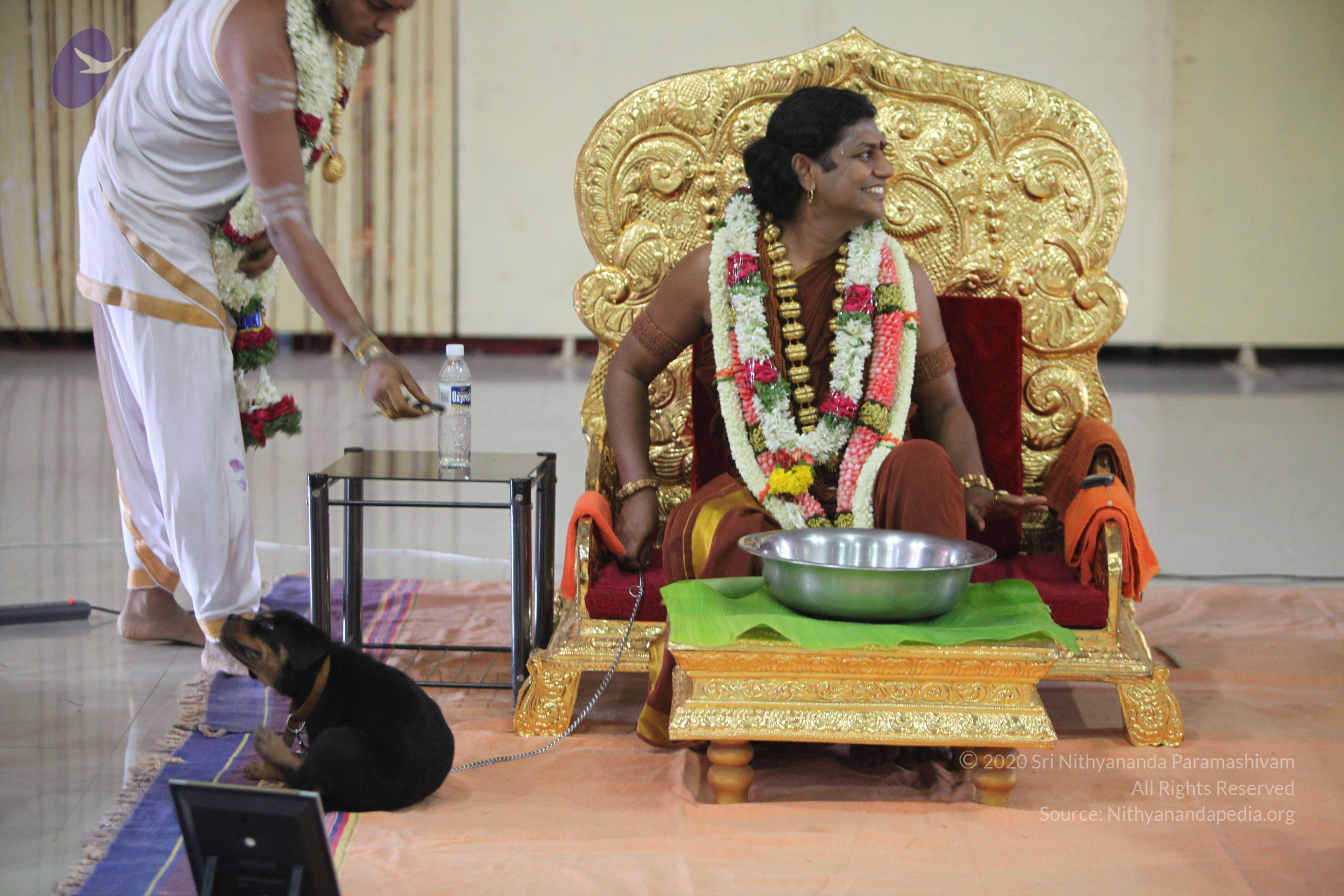 20130423_Photo_1056_IMG_9291_CMP_WM