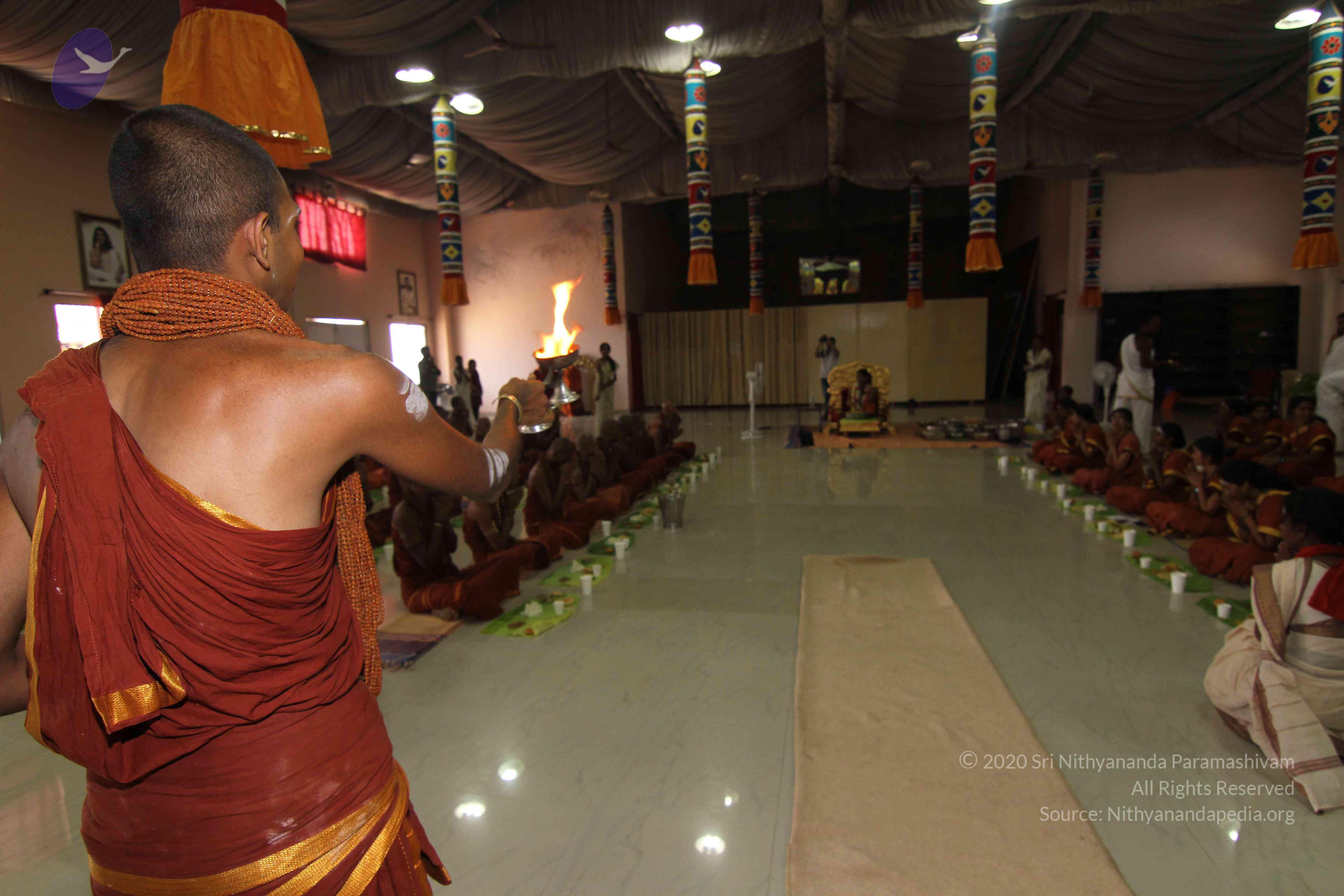 20130423_Photo_1069_IMG_8989_CMP_WM