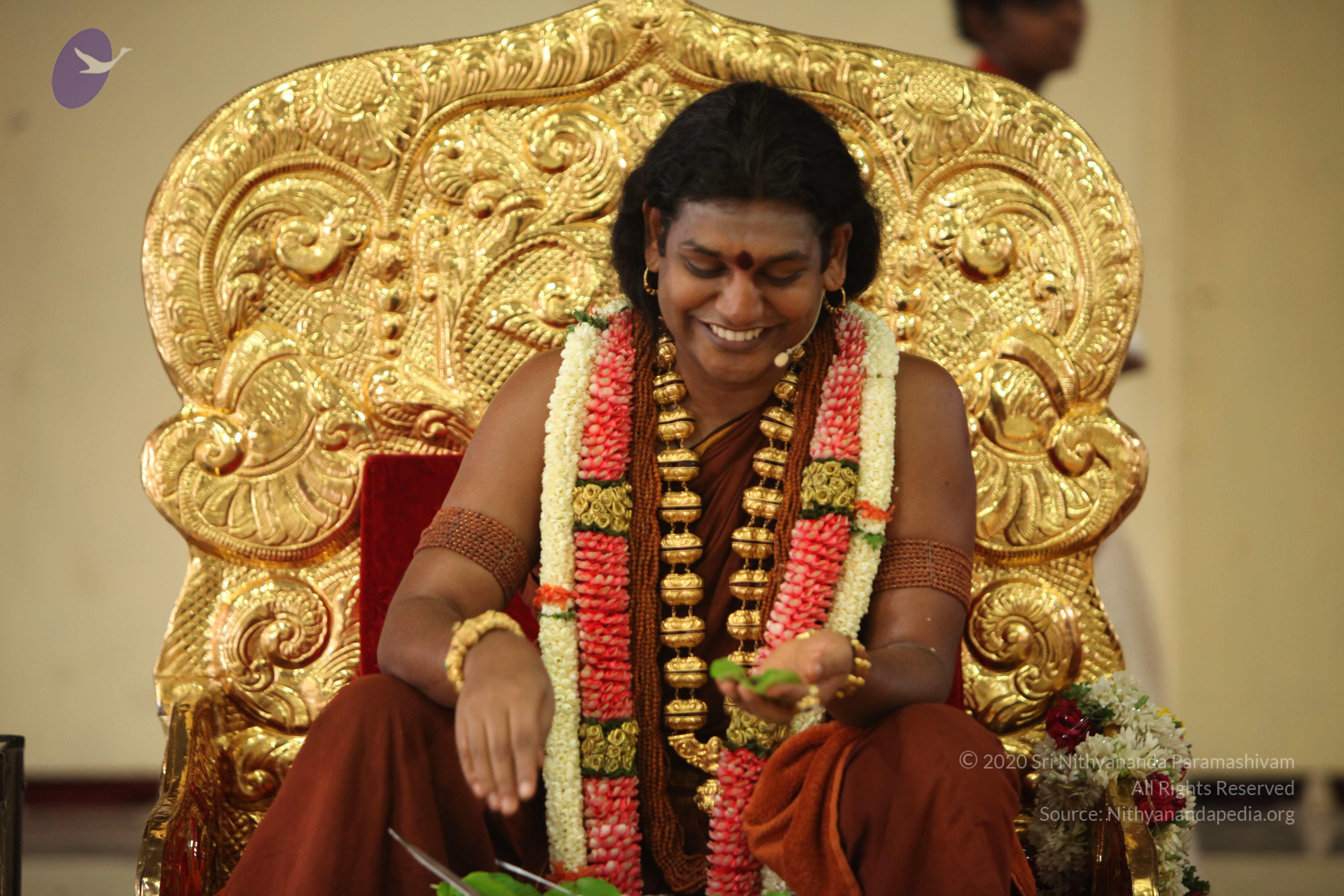 20130423_Photo_1082_IMG_9382_CMP_WM