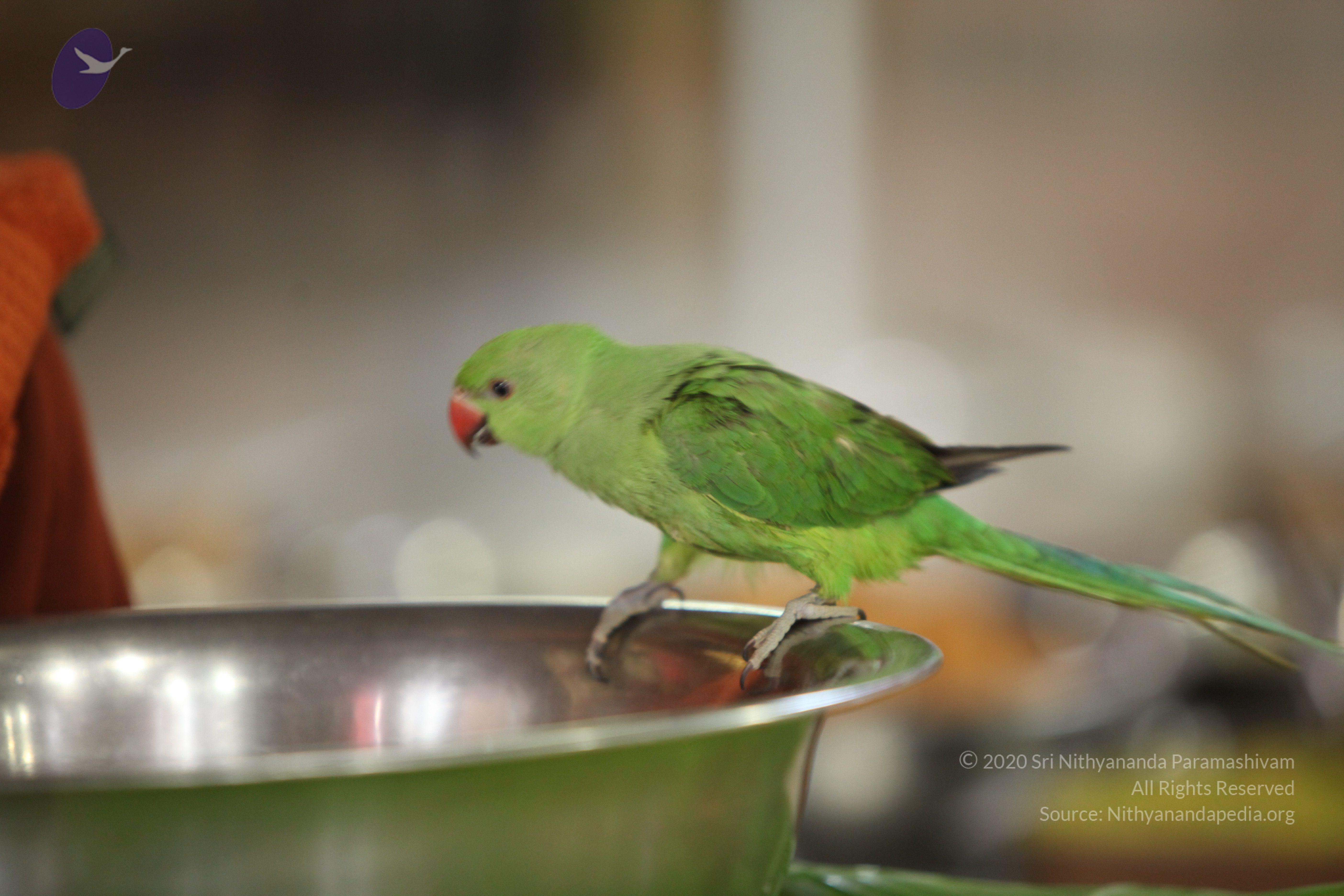 20130423_Photo_1083_IMG_9296_CMP_WM