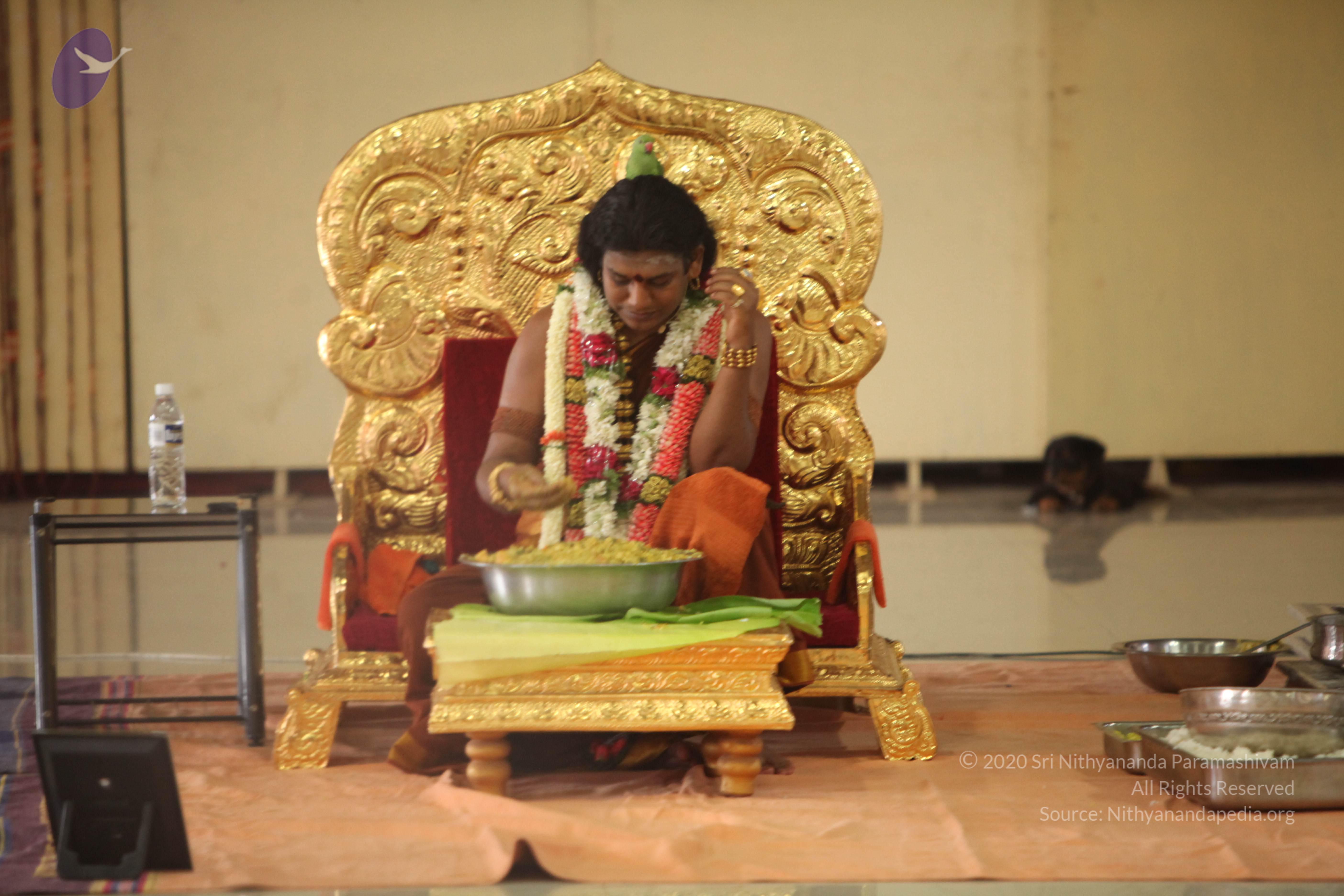 20130423_Photo_1086_IMG_9334_CMP_WM