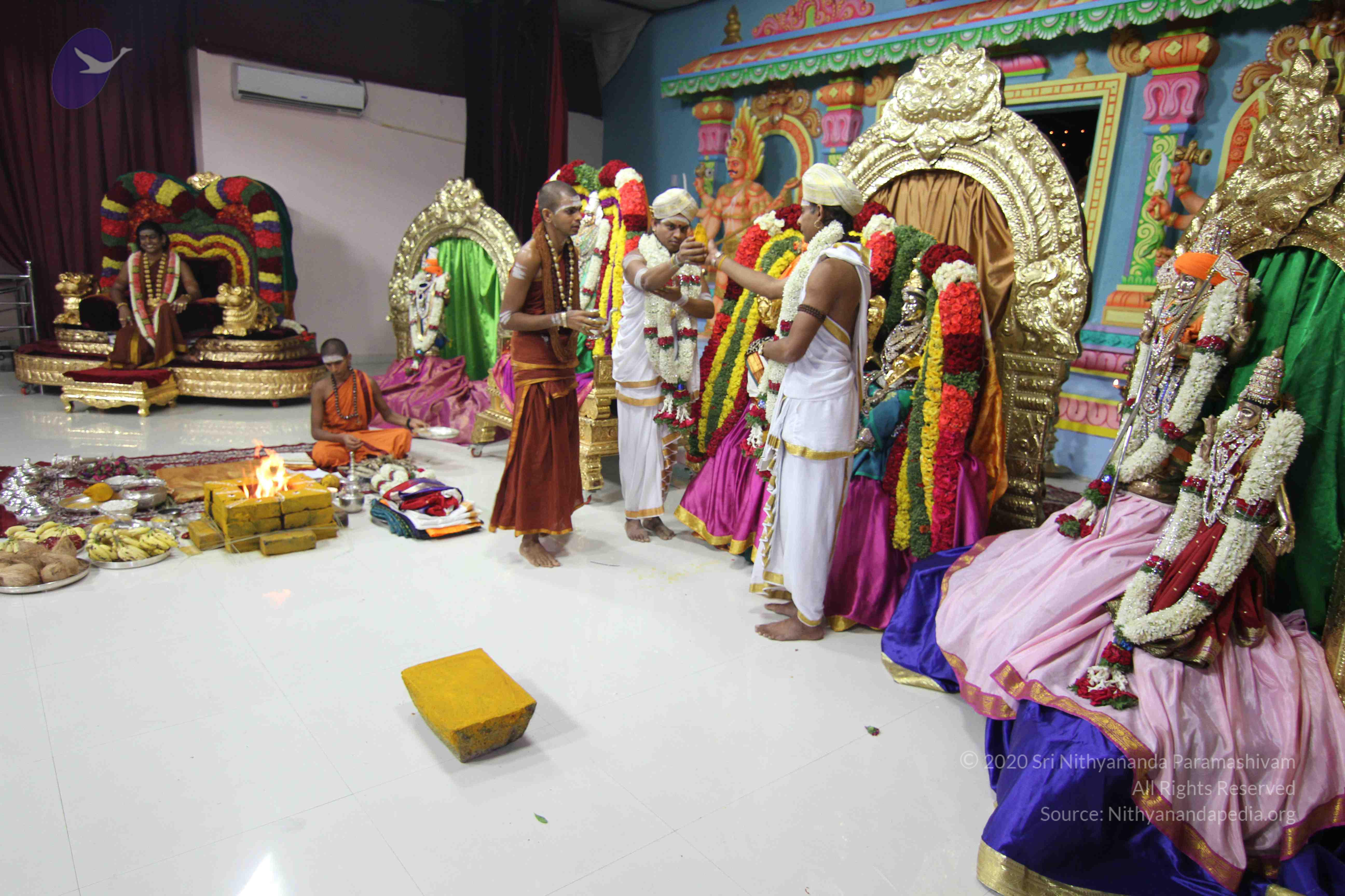 20130423_Photo_1005_IMG_8872_CMP_WM