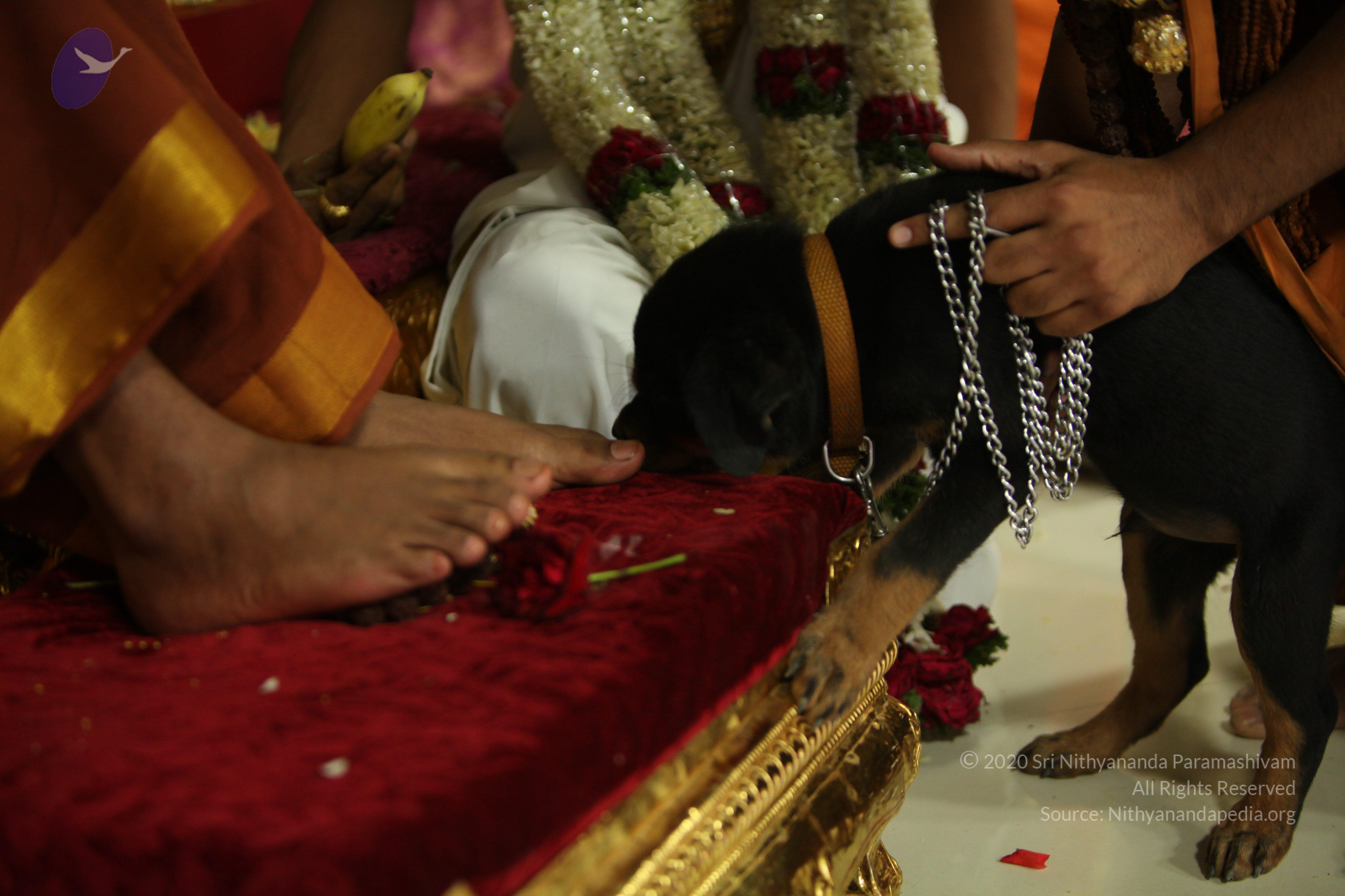 20130423_Photo_1010_IMG_9276_CMP_WM