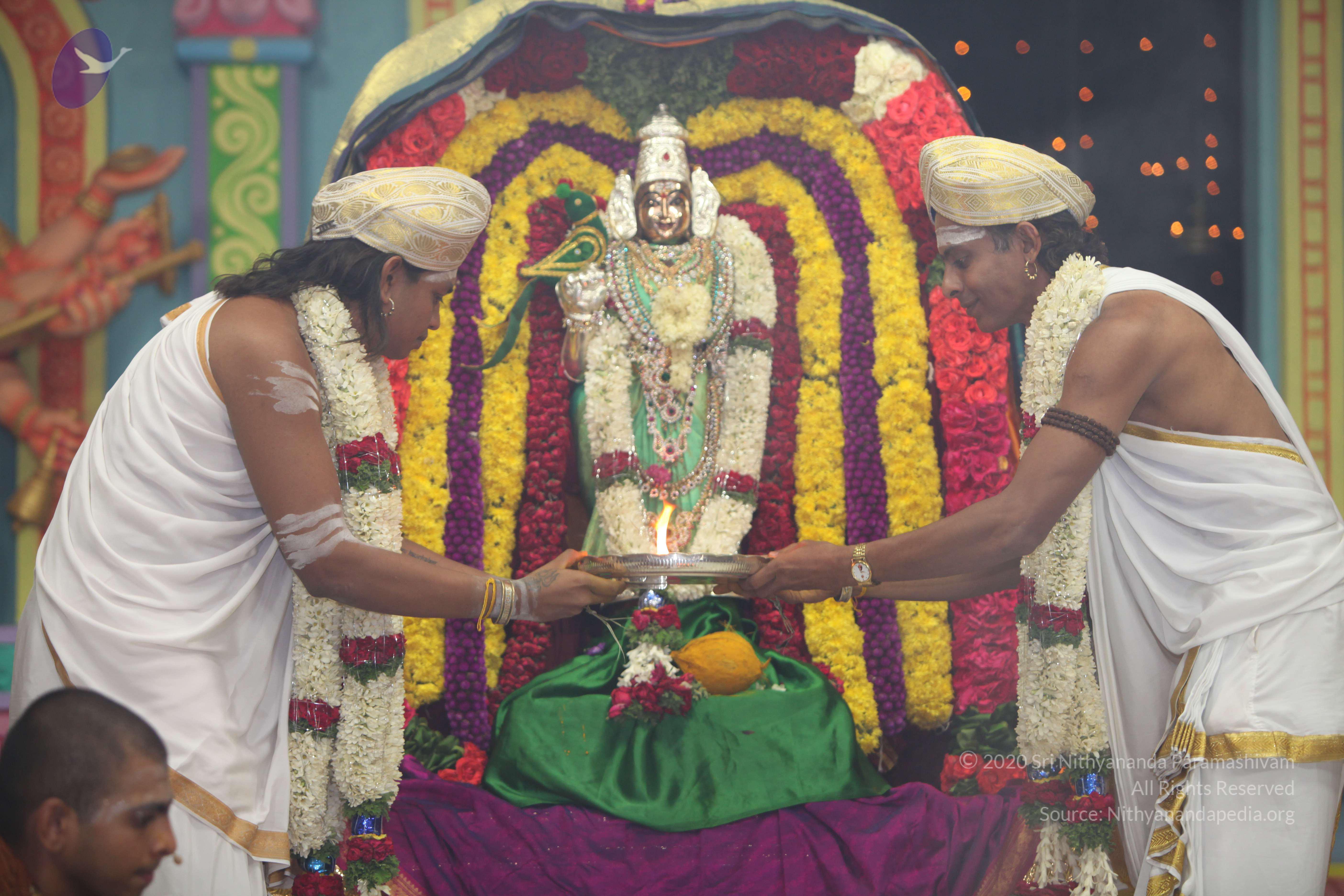 20130423_Photo_1022_IMG_9112_CMP_WM