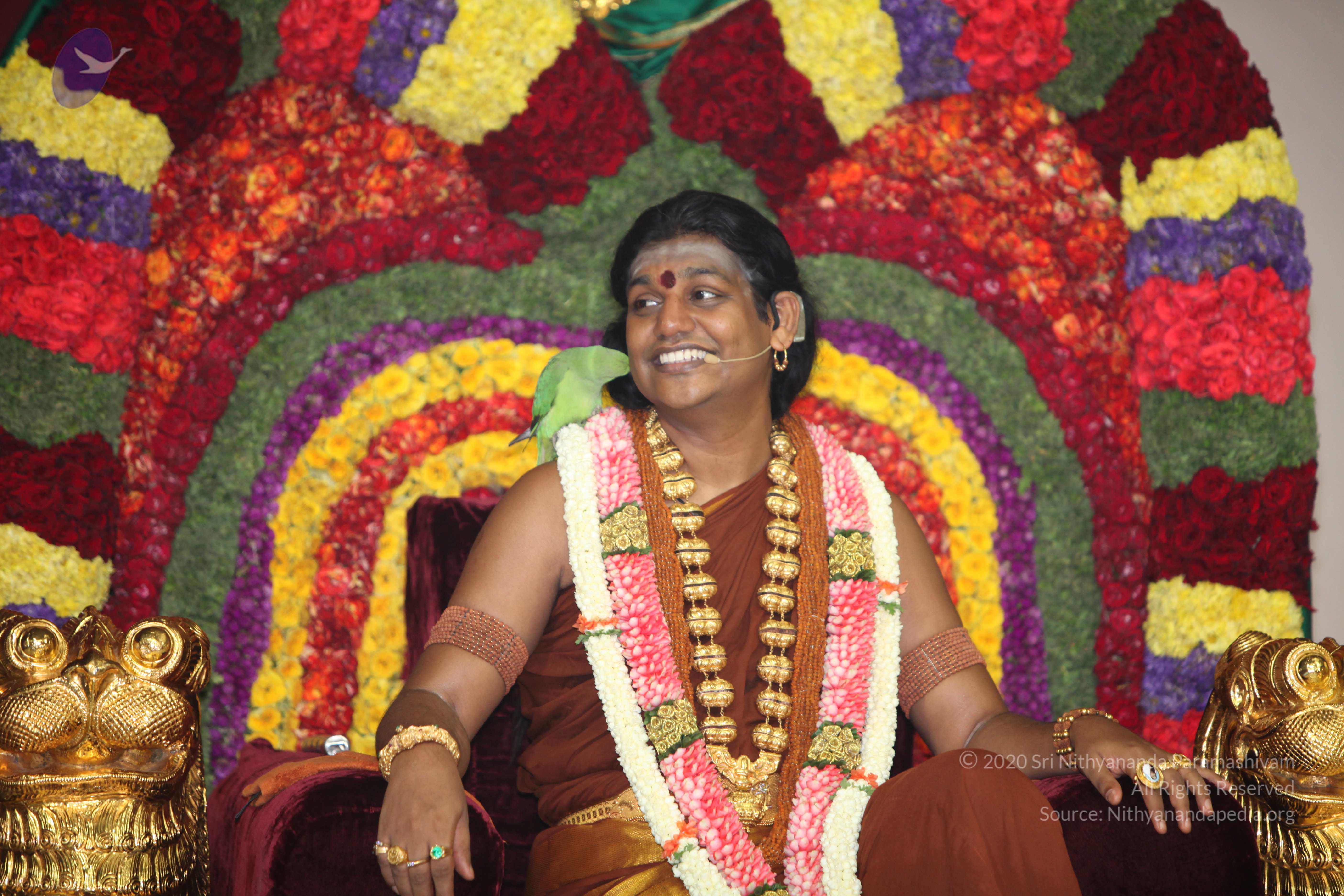 20130423_Photo_1027_IMG_8994_CMP_WM