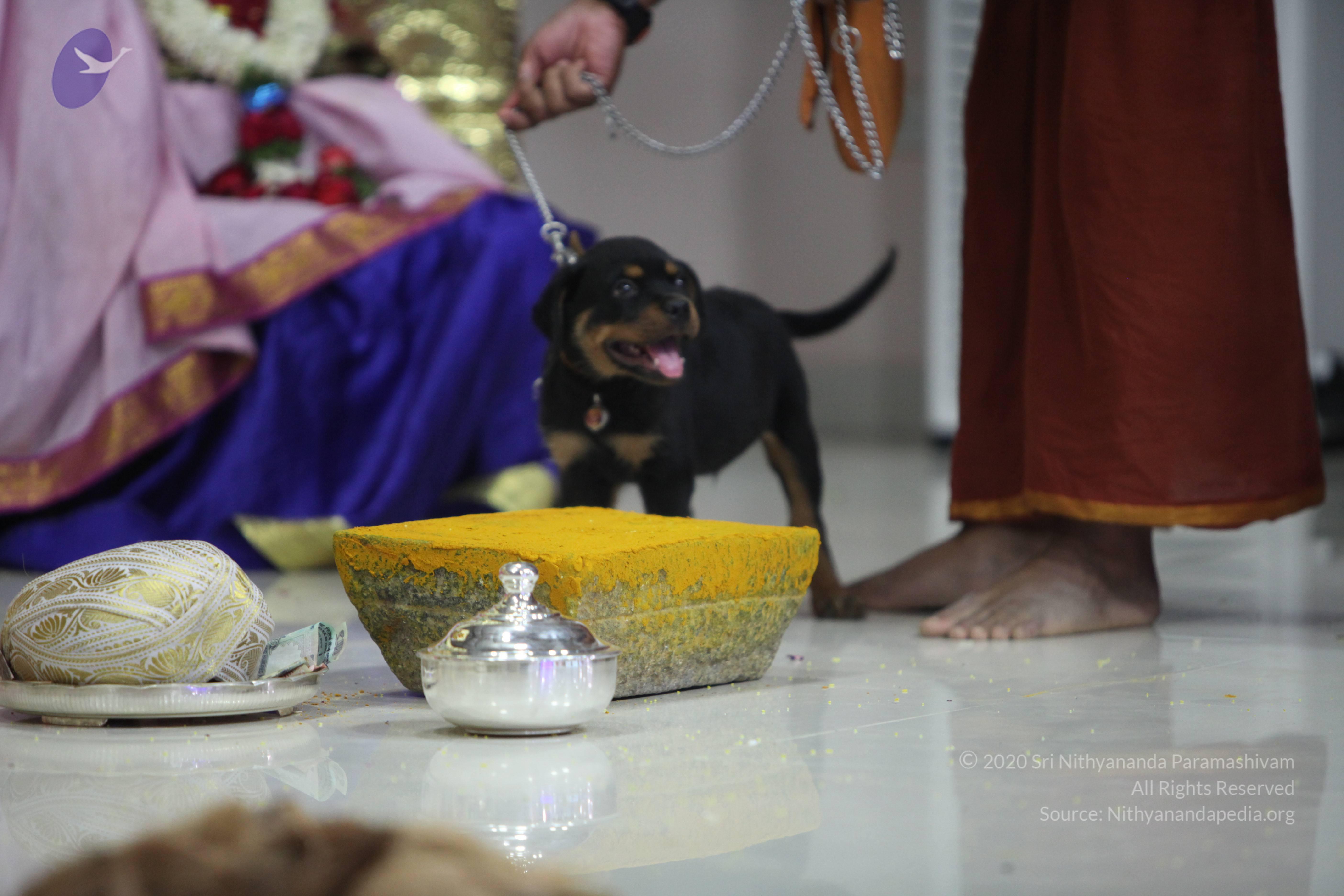 20130423_Photo_1031_IMG_9267_CMP_WM