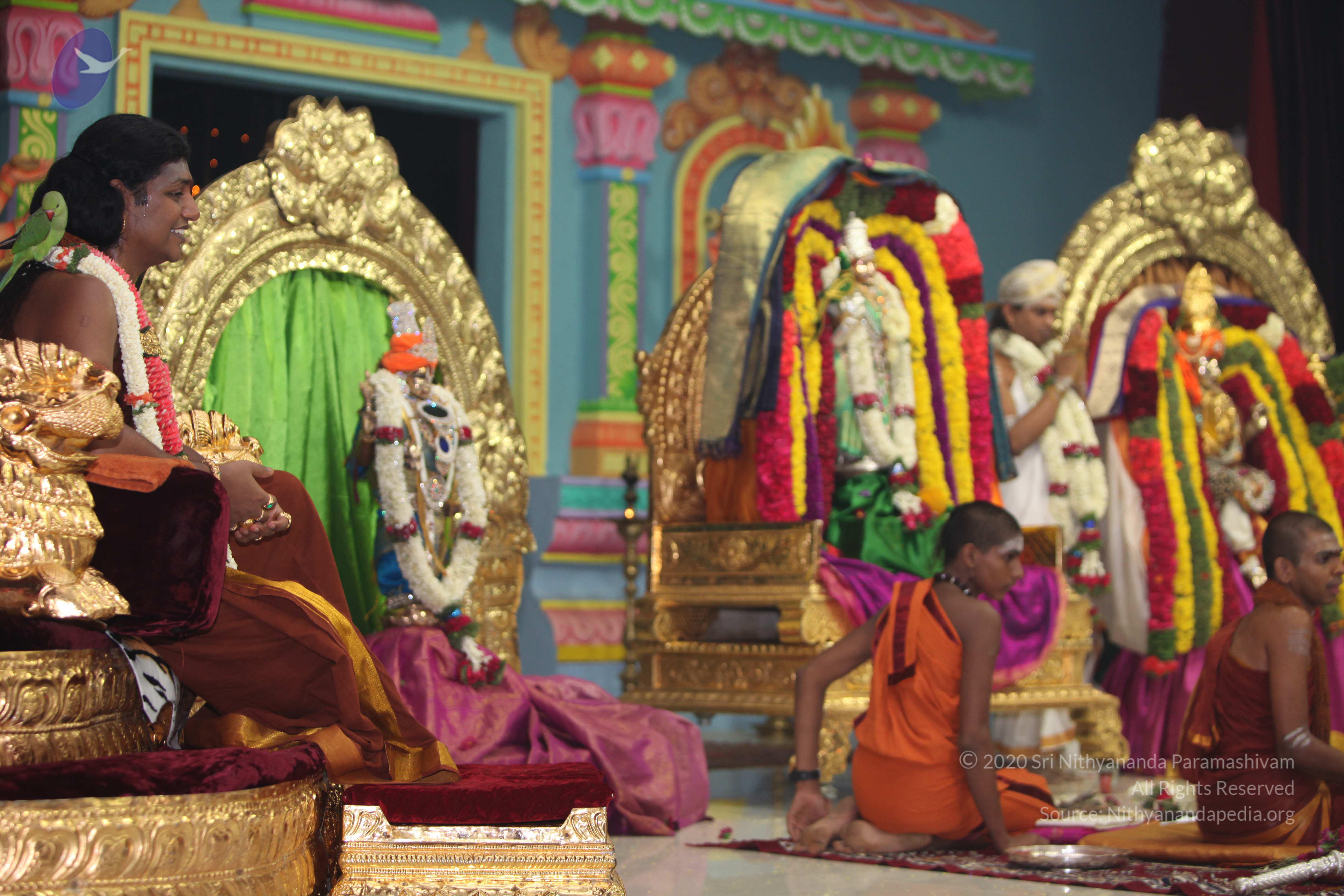 20130423_Photo_1047_IMG_9120_CMP_WM