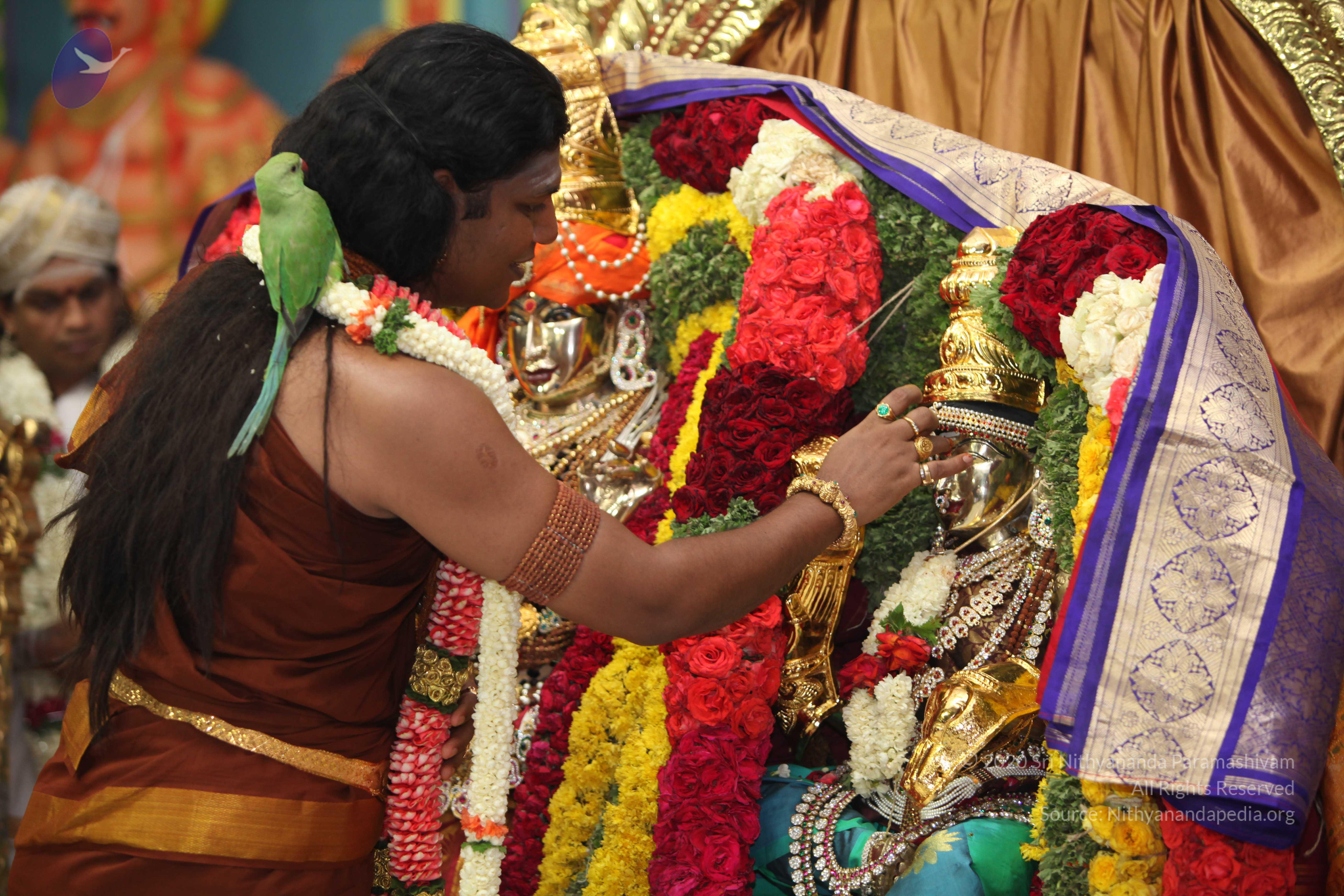 20130423_Photo_1087_IMG_9088_CMP_WM