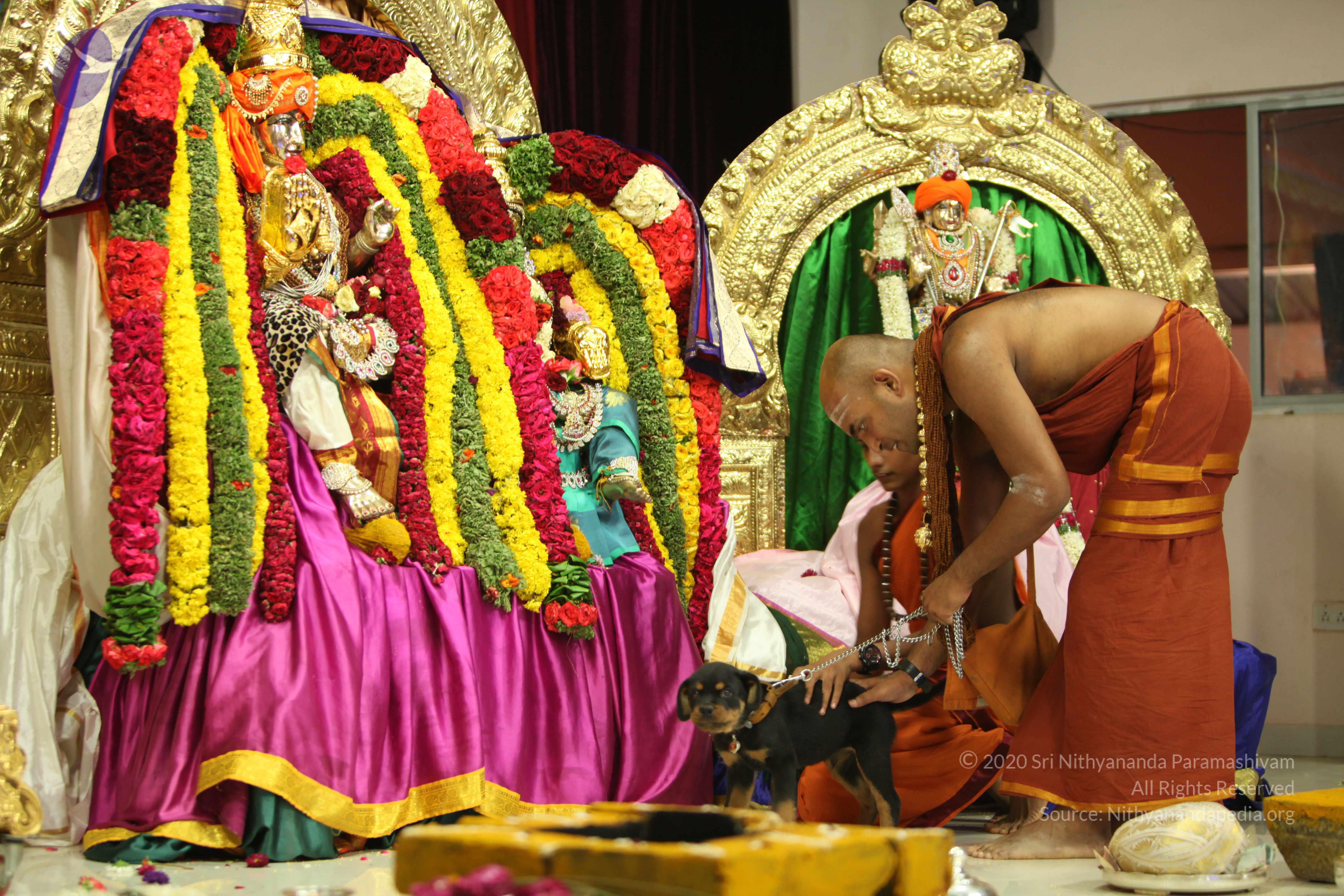 20130423_Photo_1095_IMG_9268_CMP_WM