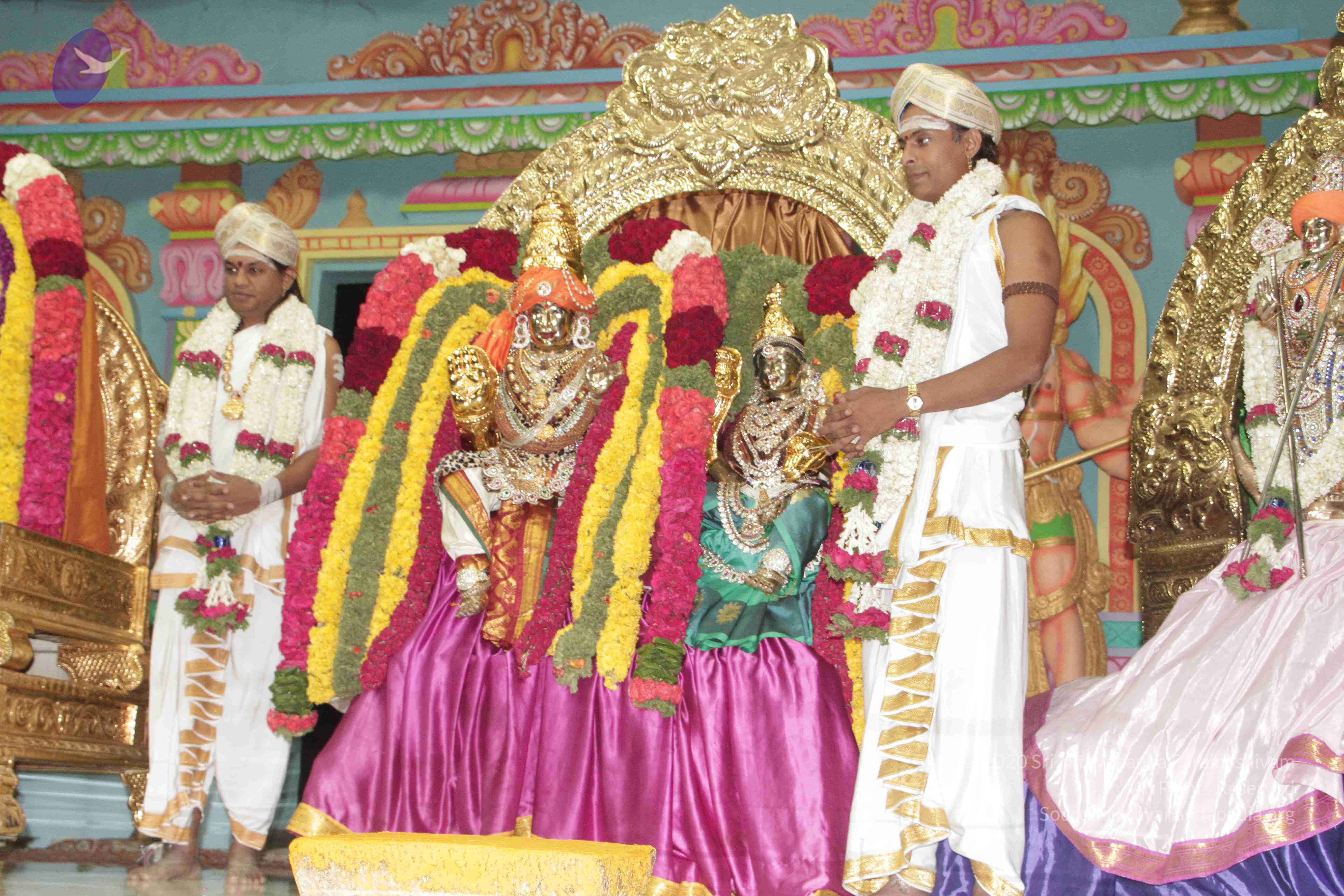 20130423_Photo_1103_IMG_8847_CMP_WM