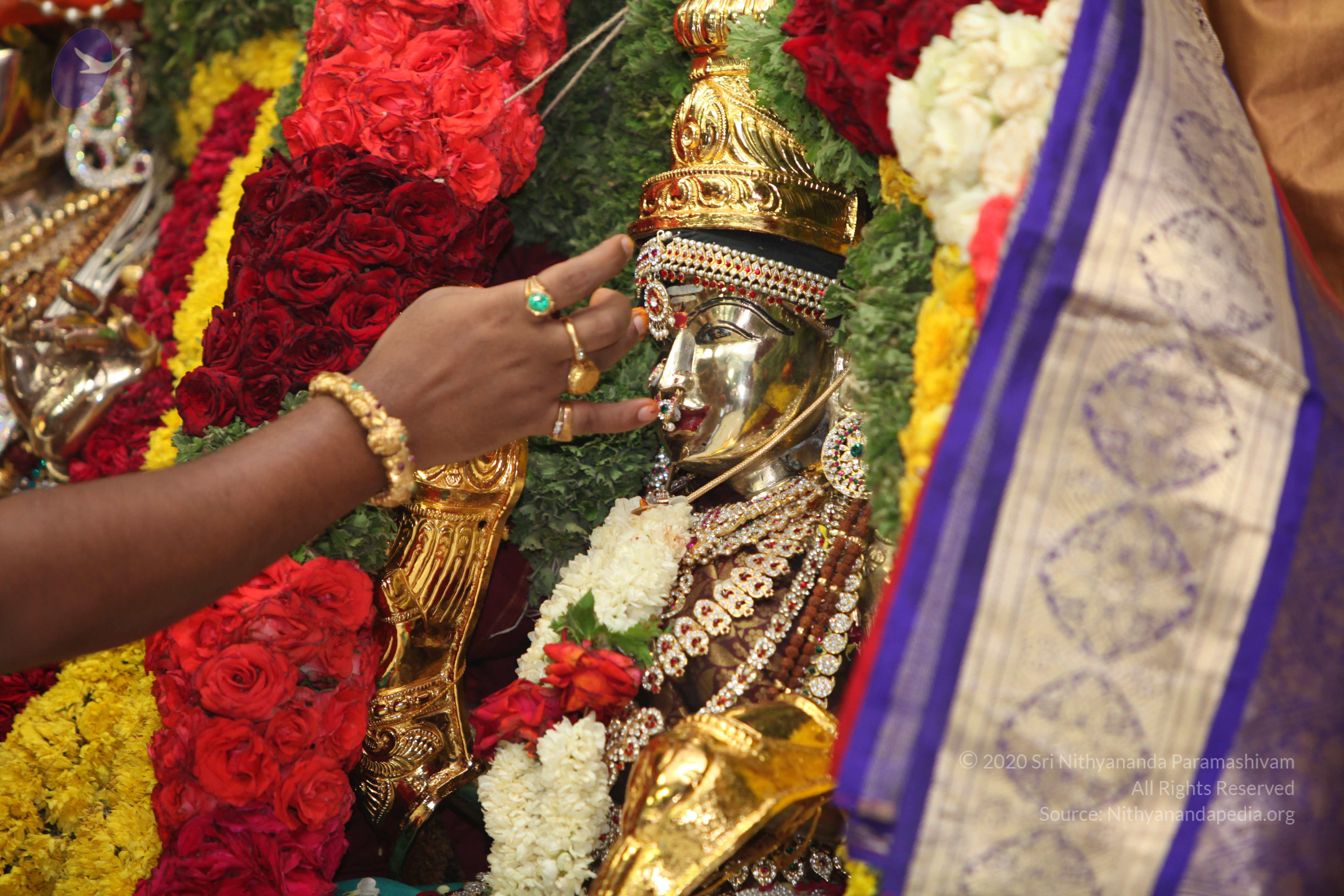 20130423_Photo_1114_IMG_9085_CMP_WM