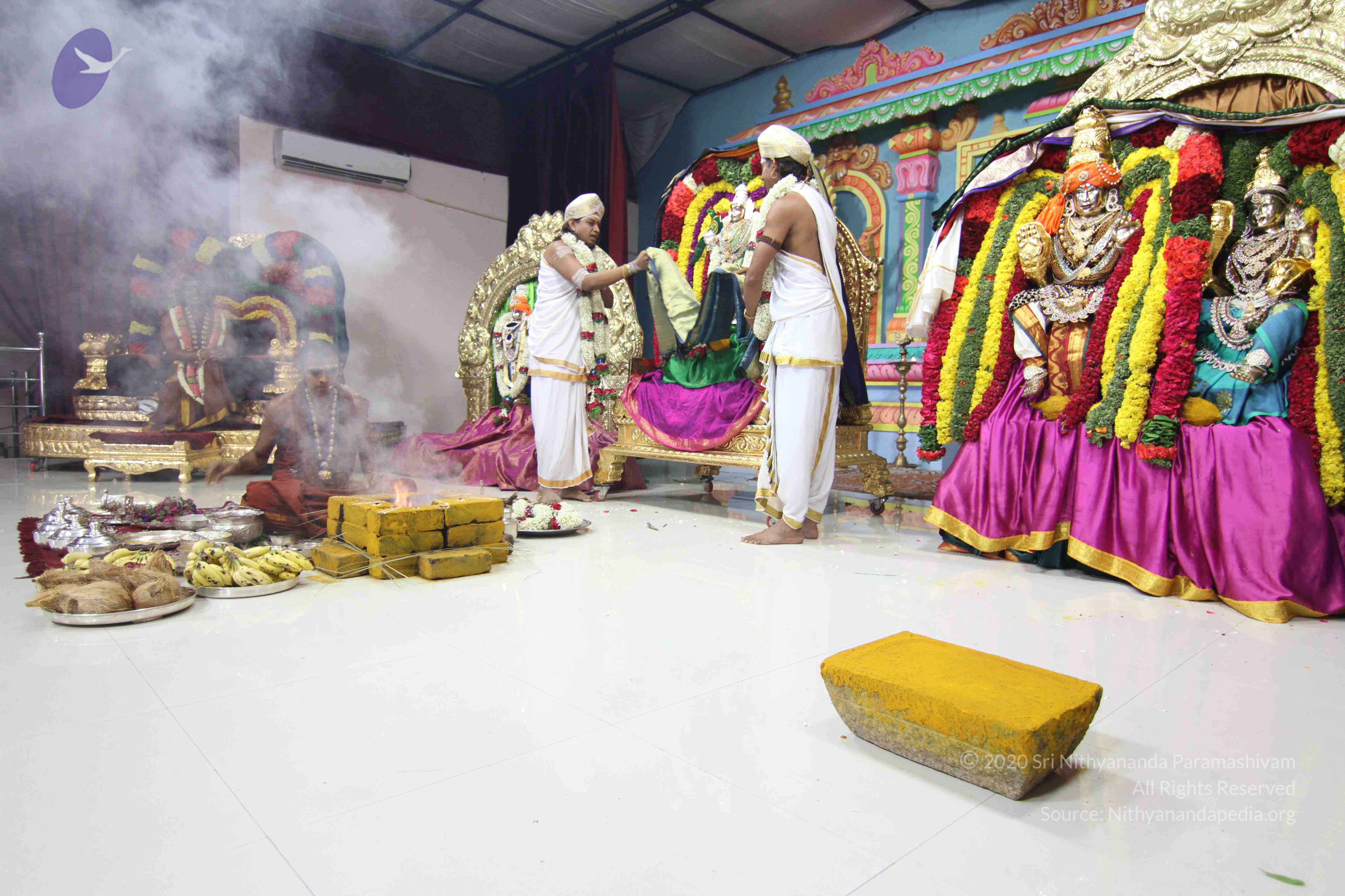 20130423_Photo_1121_IMG_8882_CMP_WM