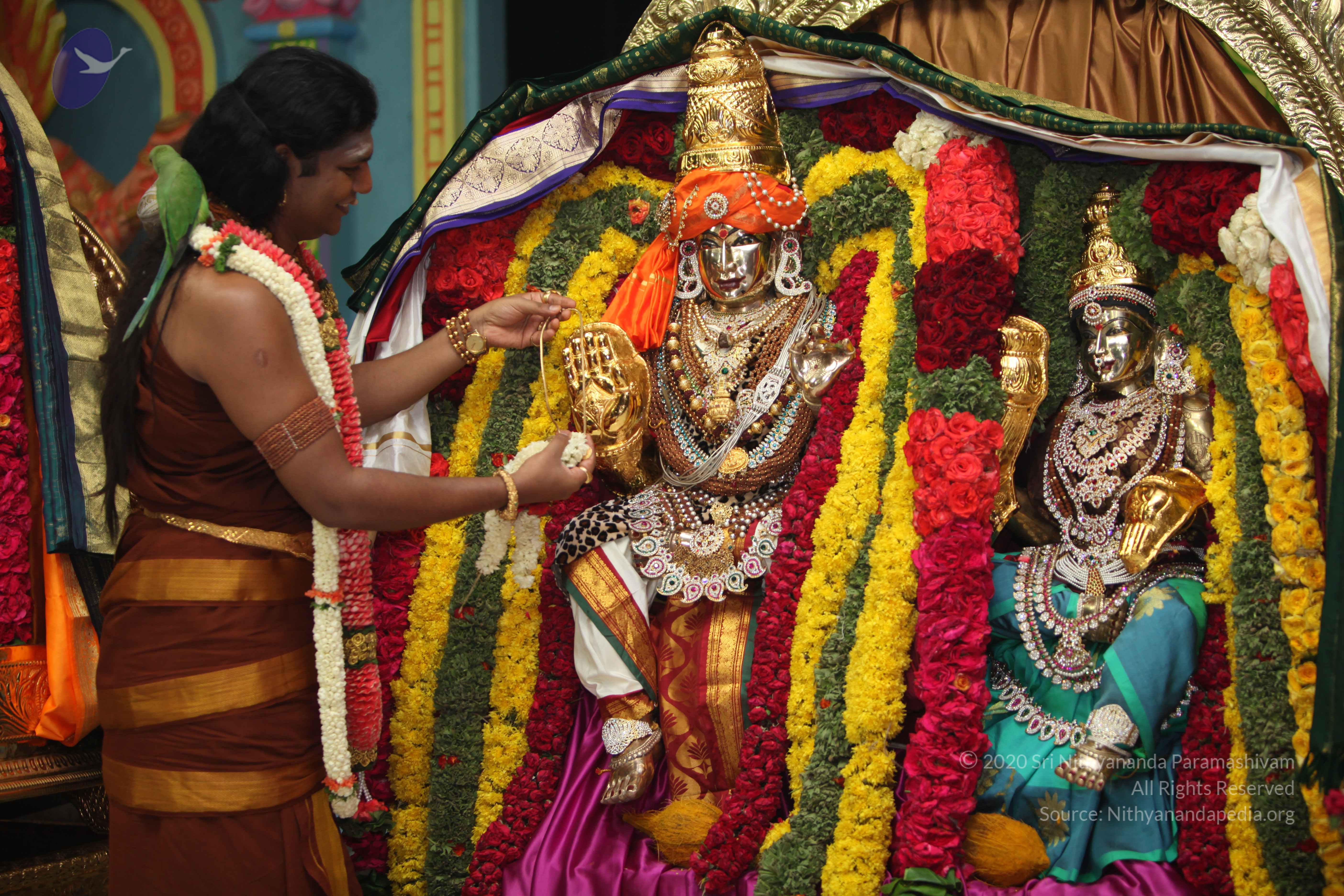 20130423_Photo_1123_IMG_9066_CMP_WM