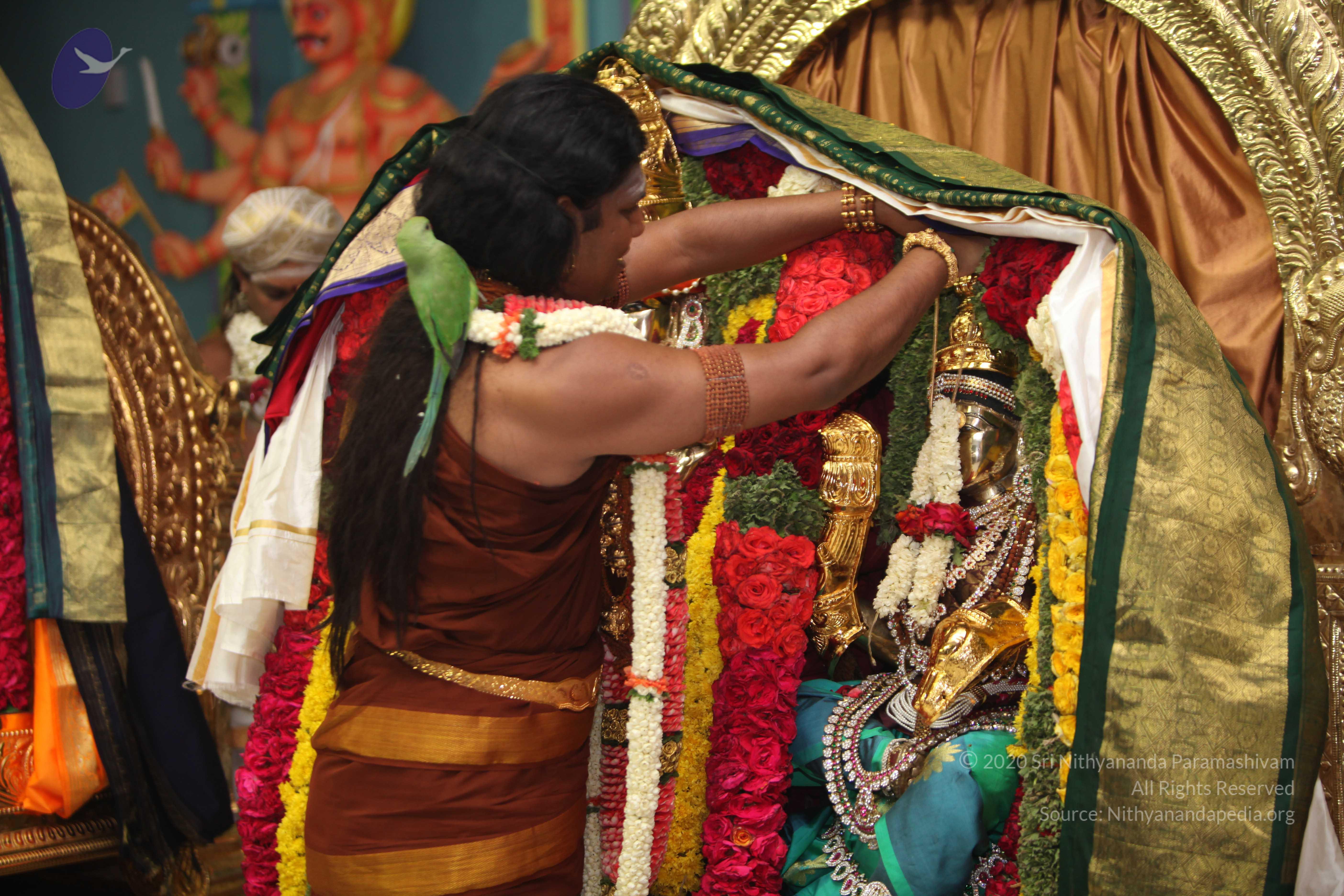 20130423_Photo_1150_IMG_9072_CMP_WM