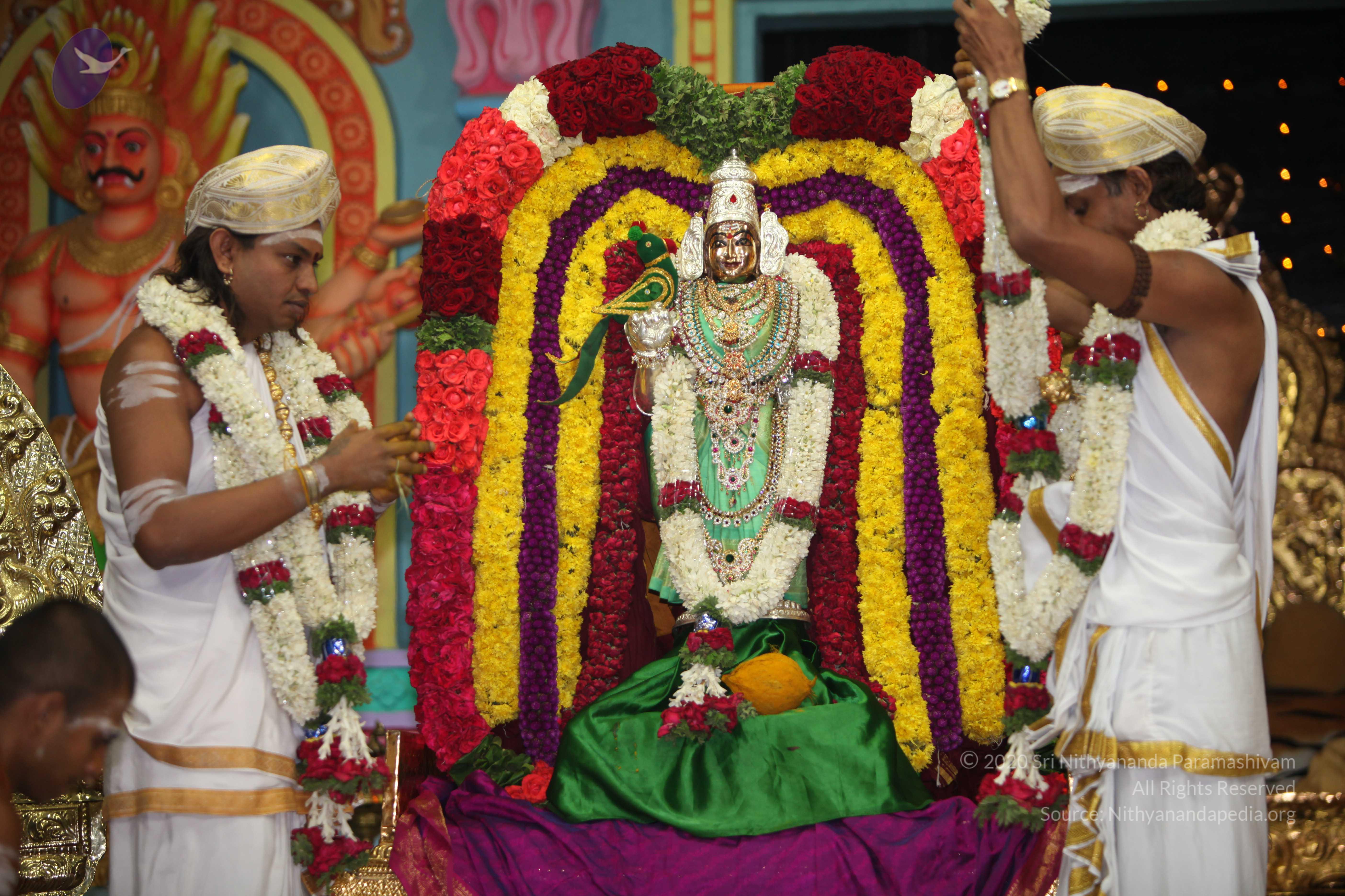 20130423_Photo_1151_IMG_8982_CMP_WM