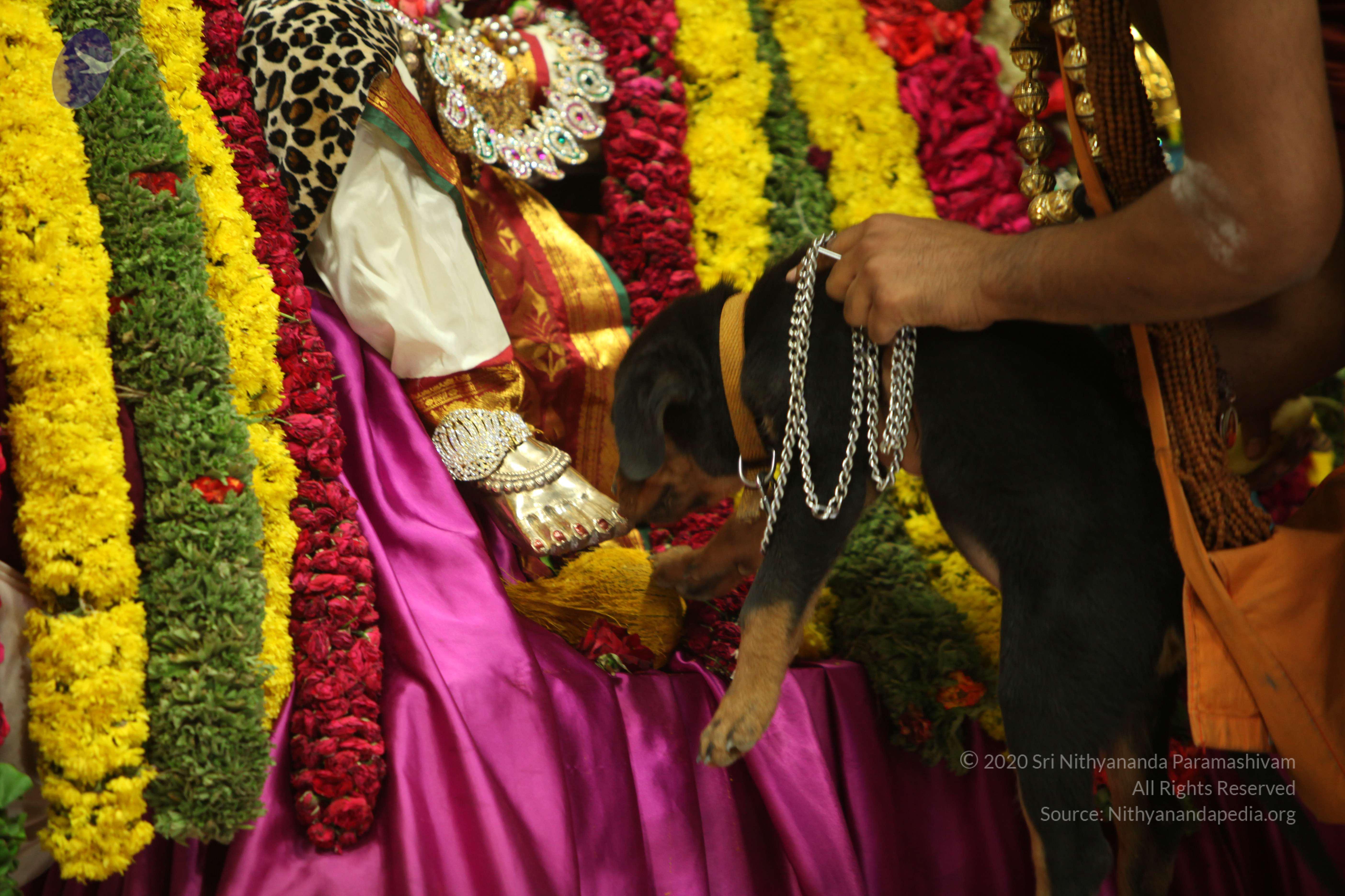 20130423_Photo_1161_IMG_9271_CMP_WM