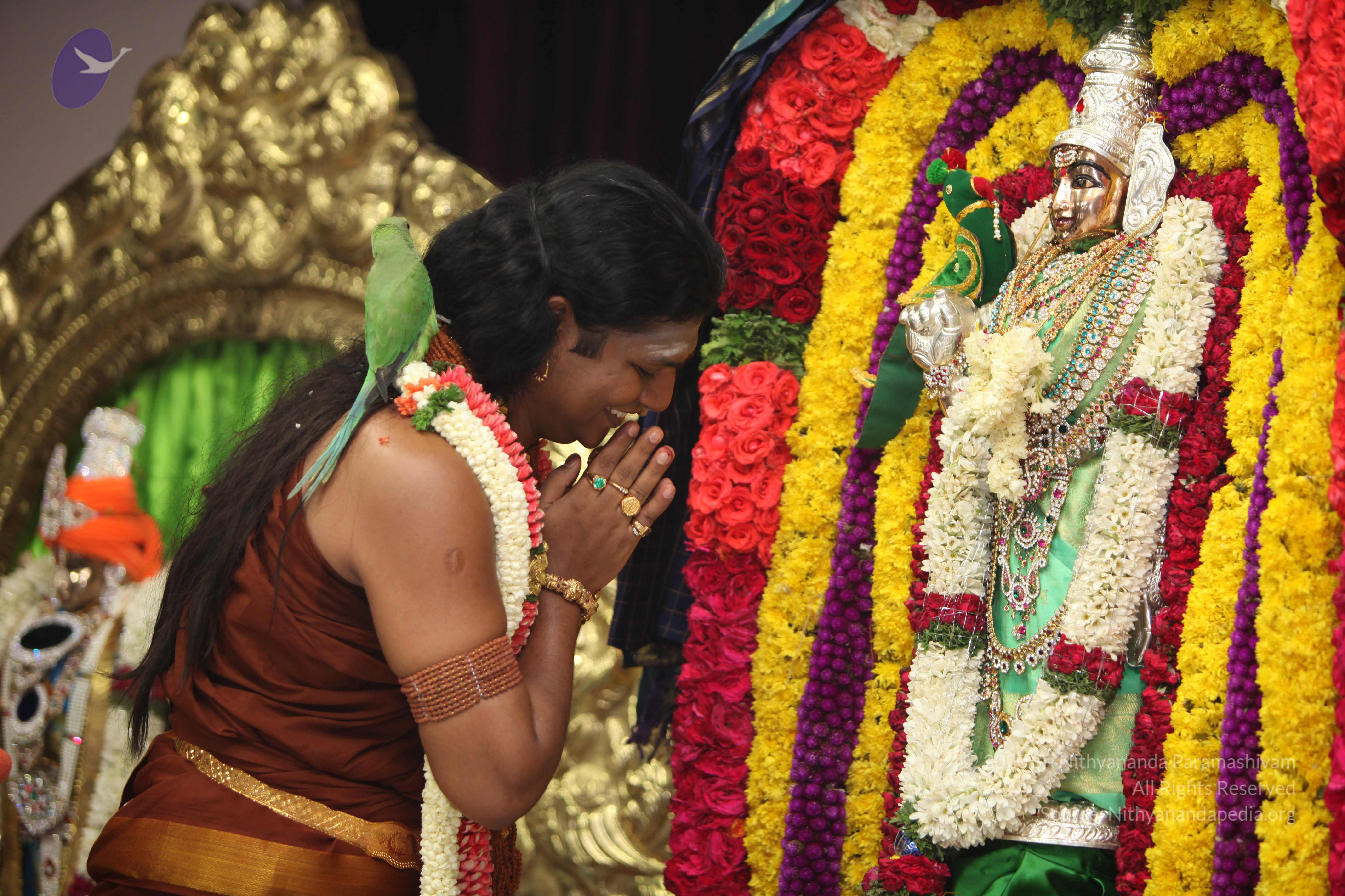 20130423_Photo_1172_IMG_9060_CMP_WM